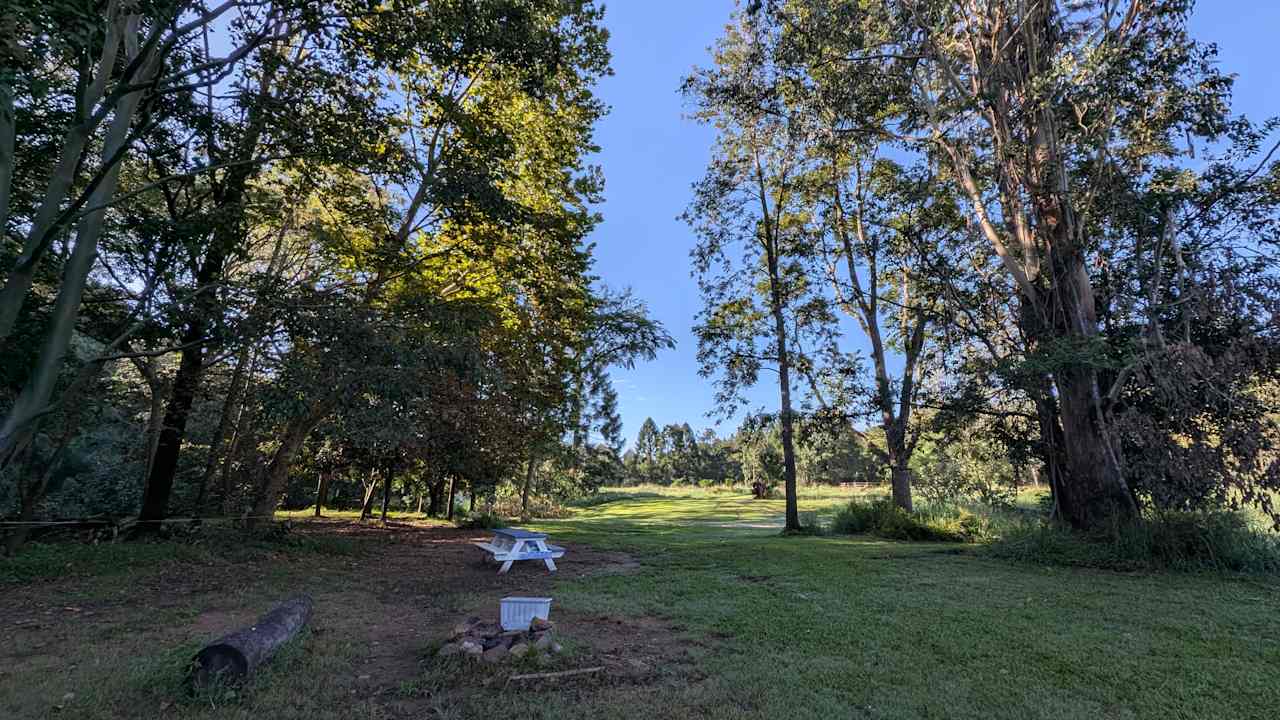 Rowlands Creek Camp Area