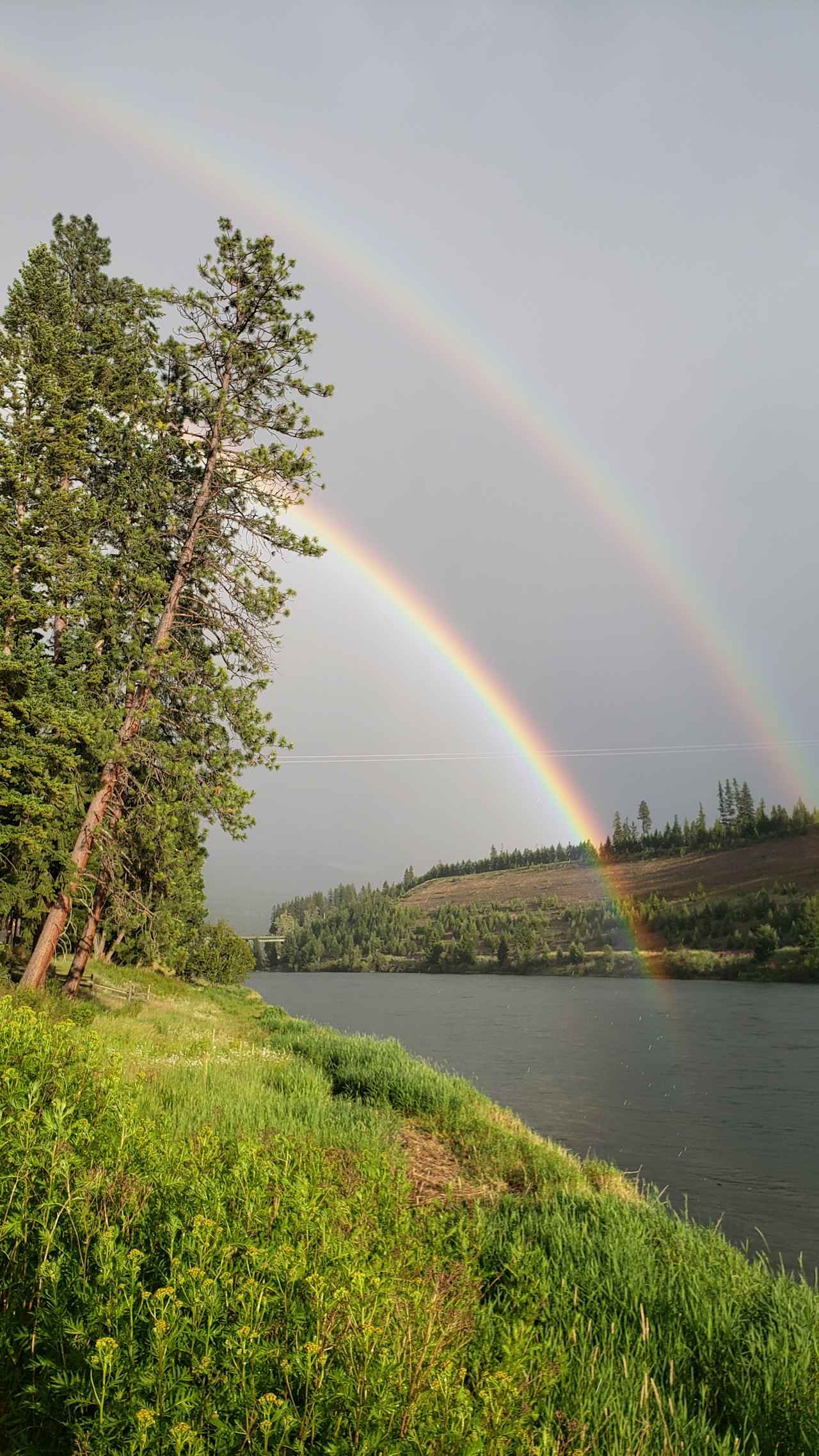 Dick's Blue Ribbon Fish Camp