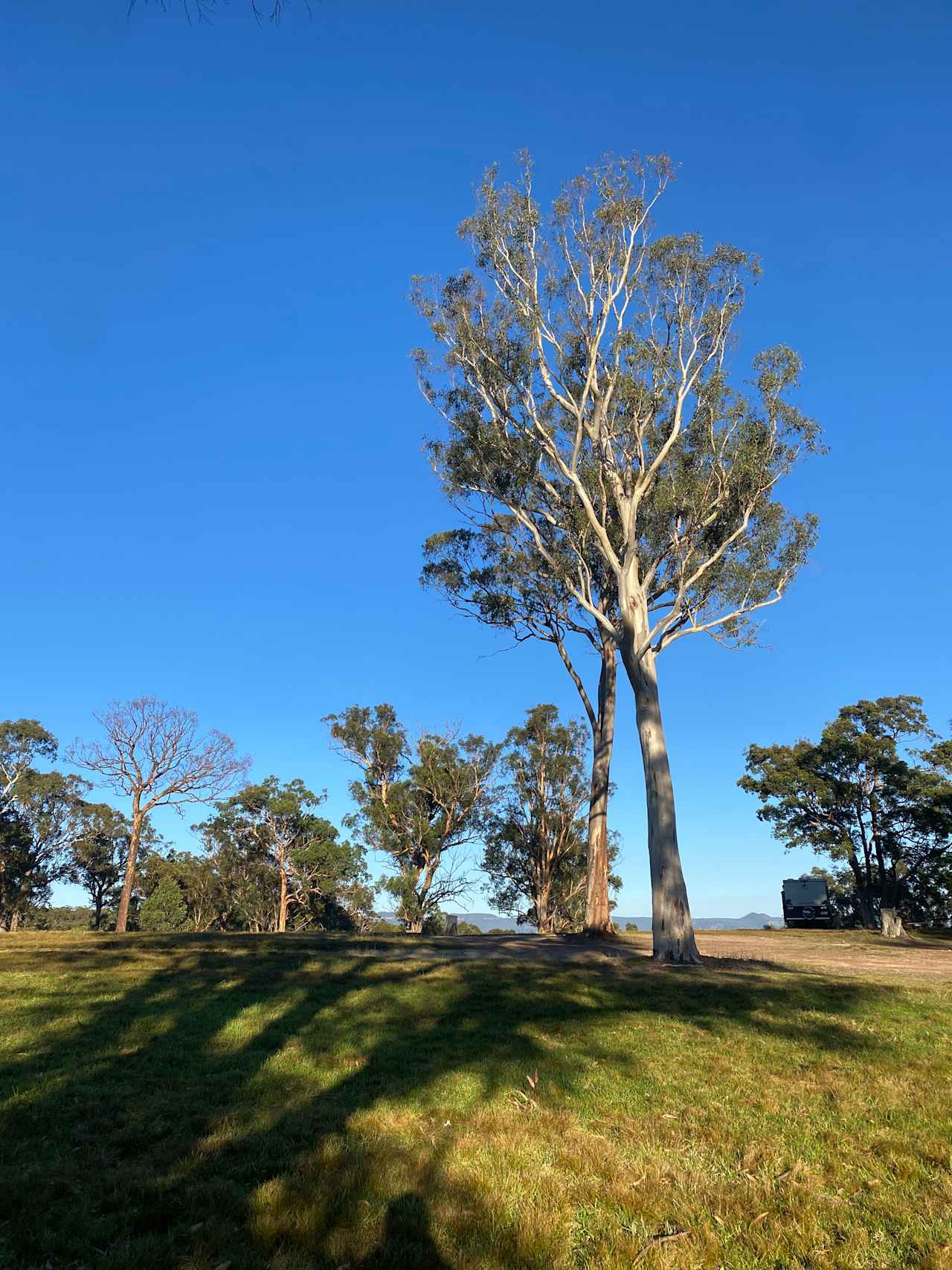 Megalong Valley Farm