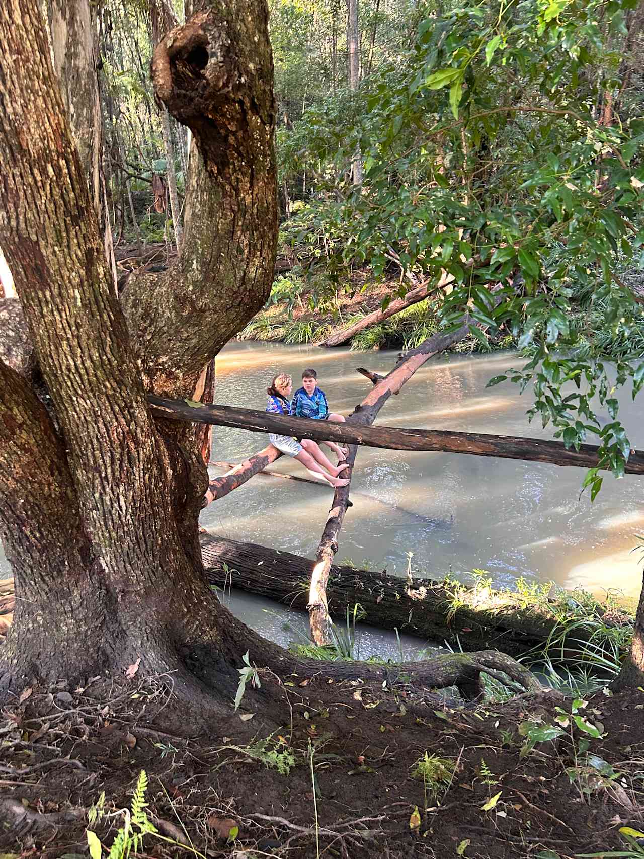 Browns Creek Camping