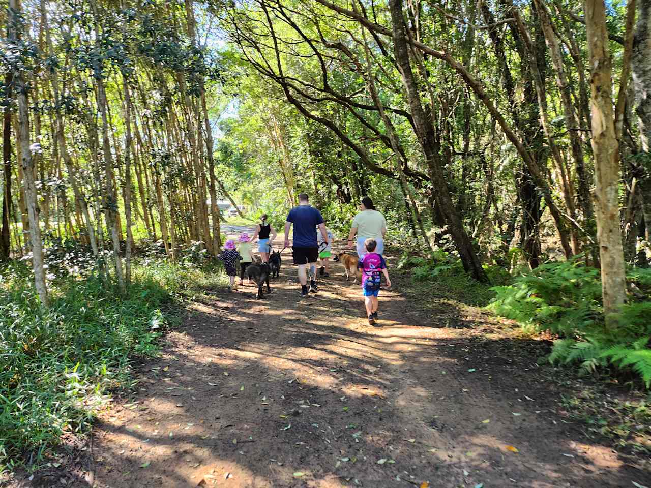 Browns Creek Camping