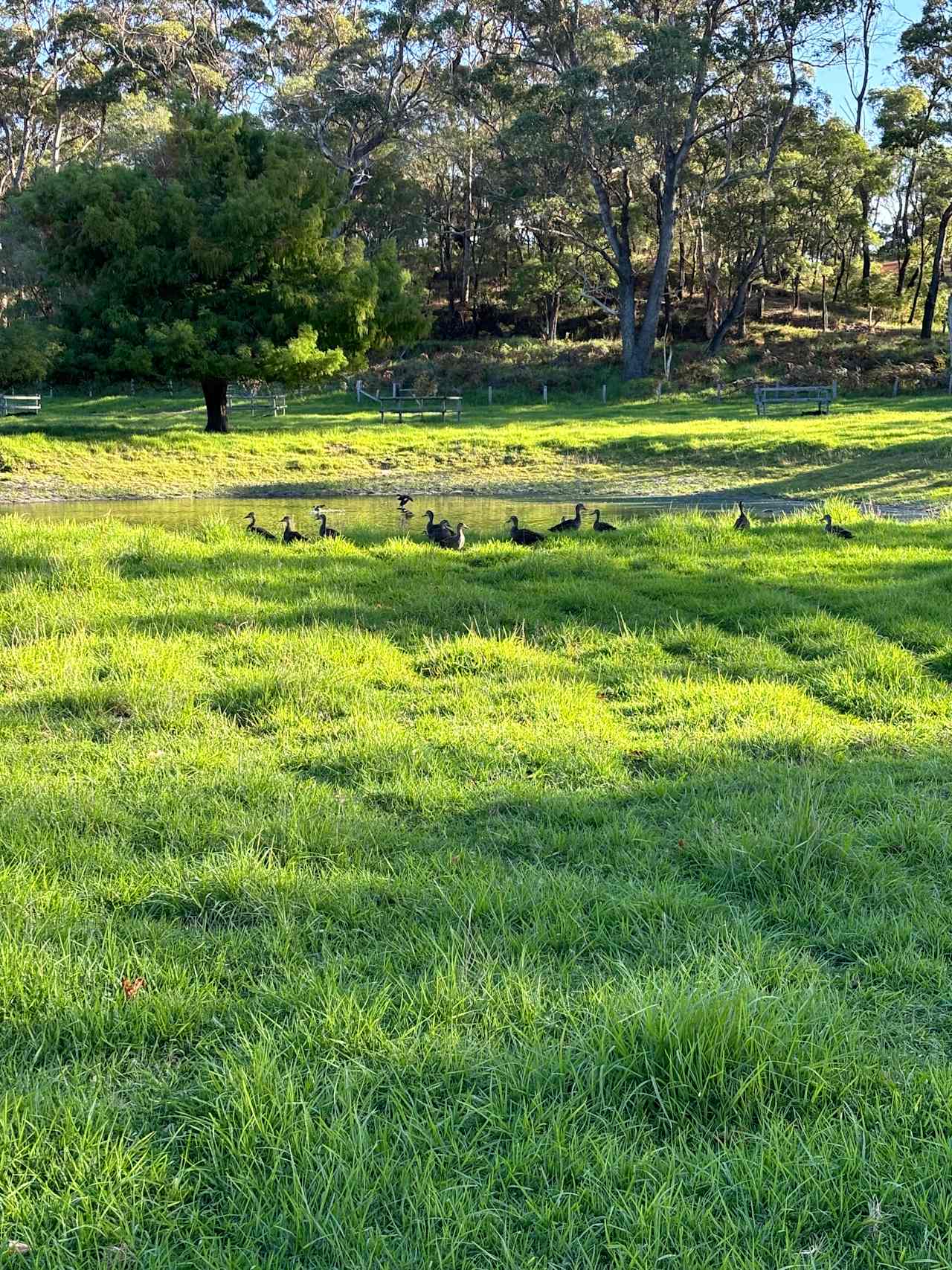 Parkfarm