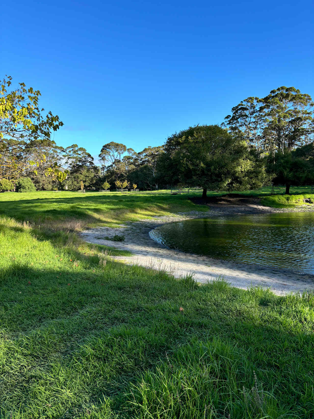 Parkfarm