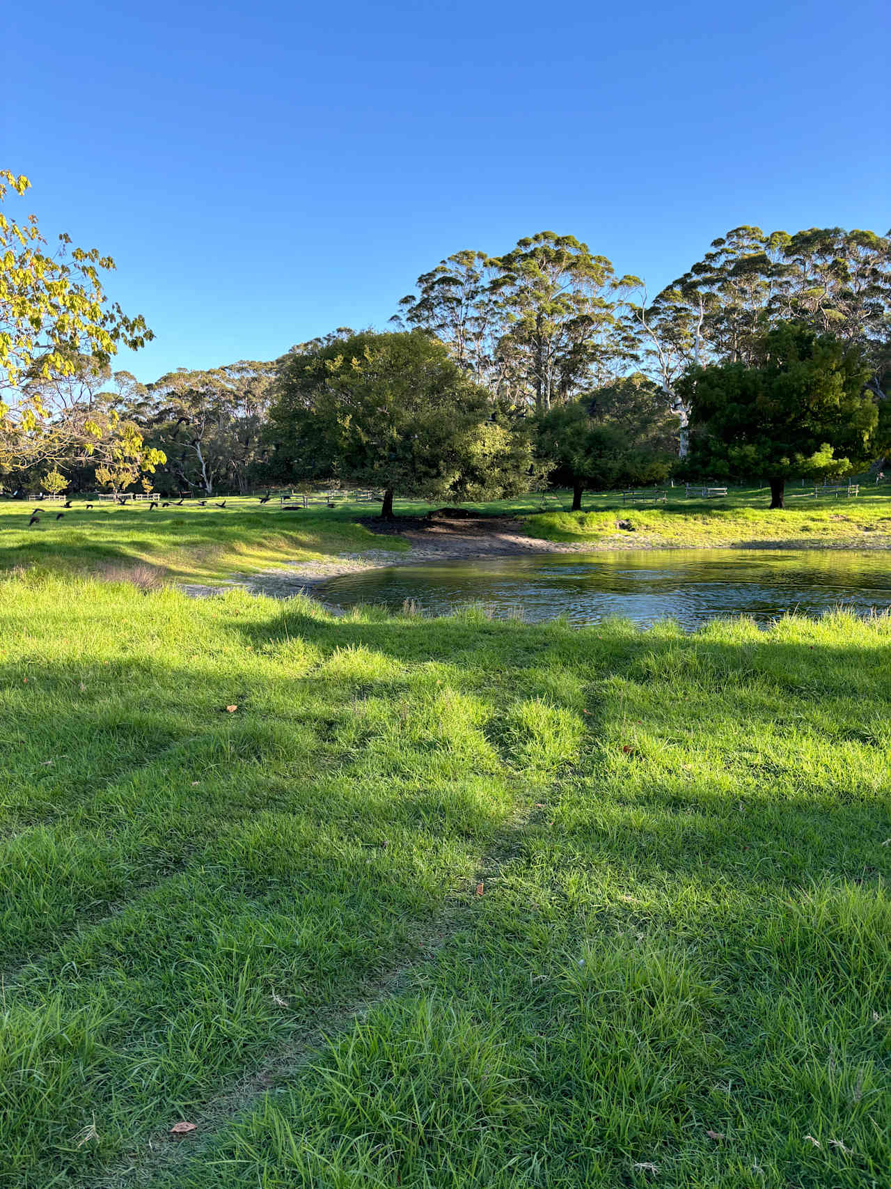 Parkfarm