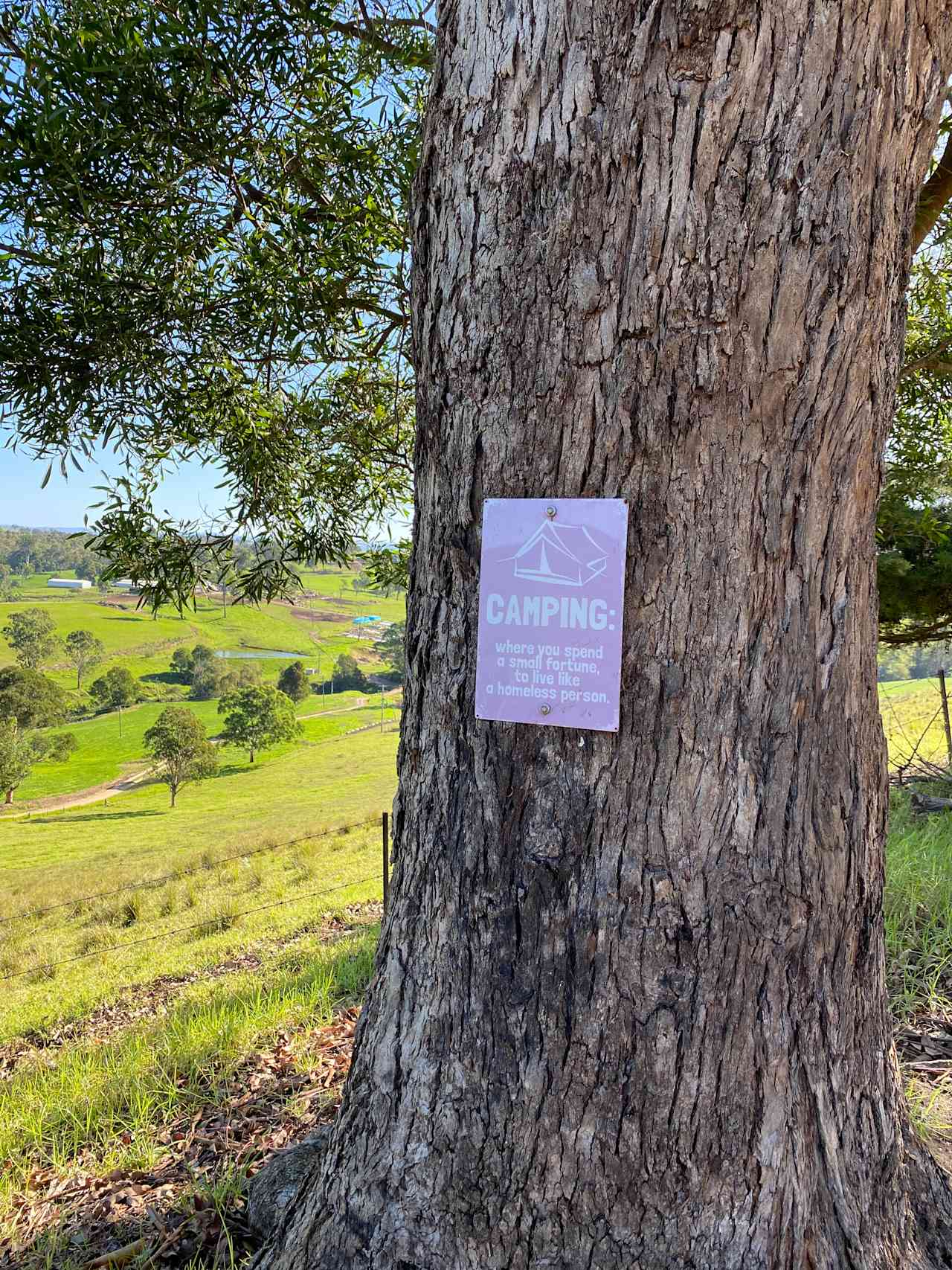 Sapphire Coast Dairy-Homestead
