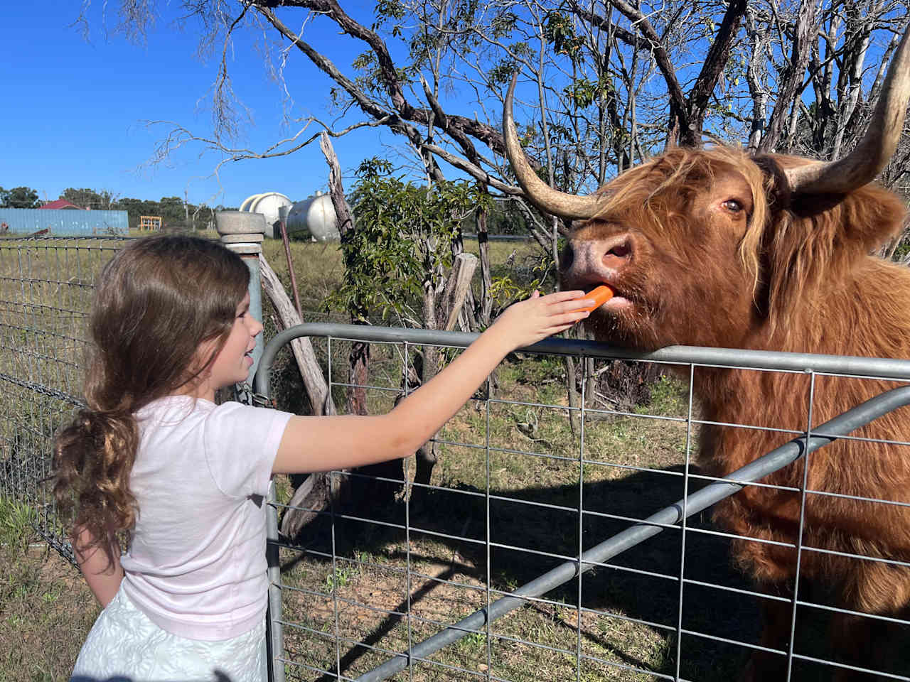Wedderburn Hideaway