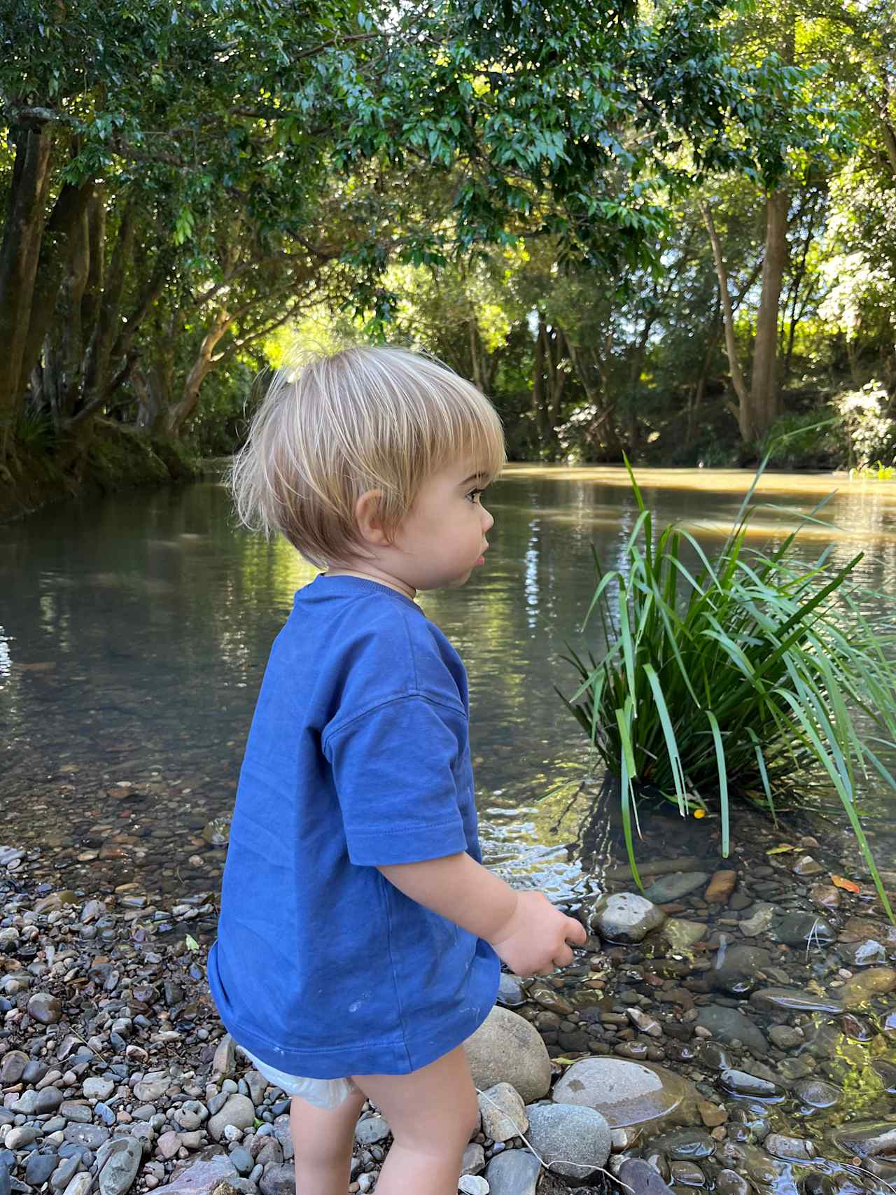 Willowbank