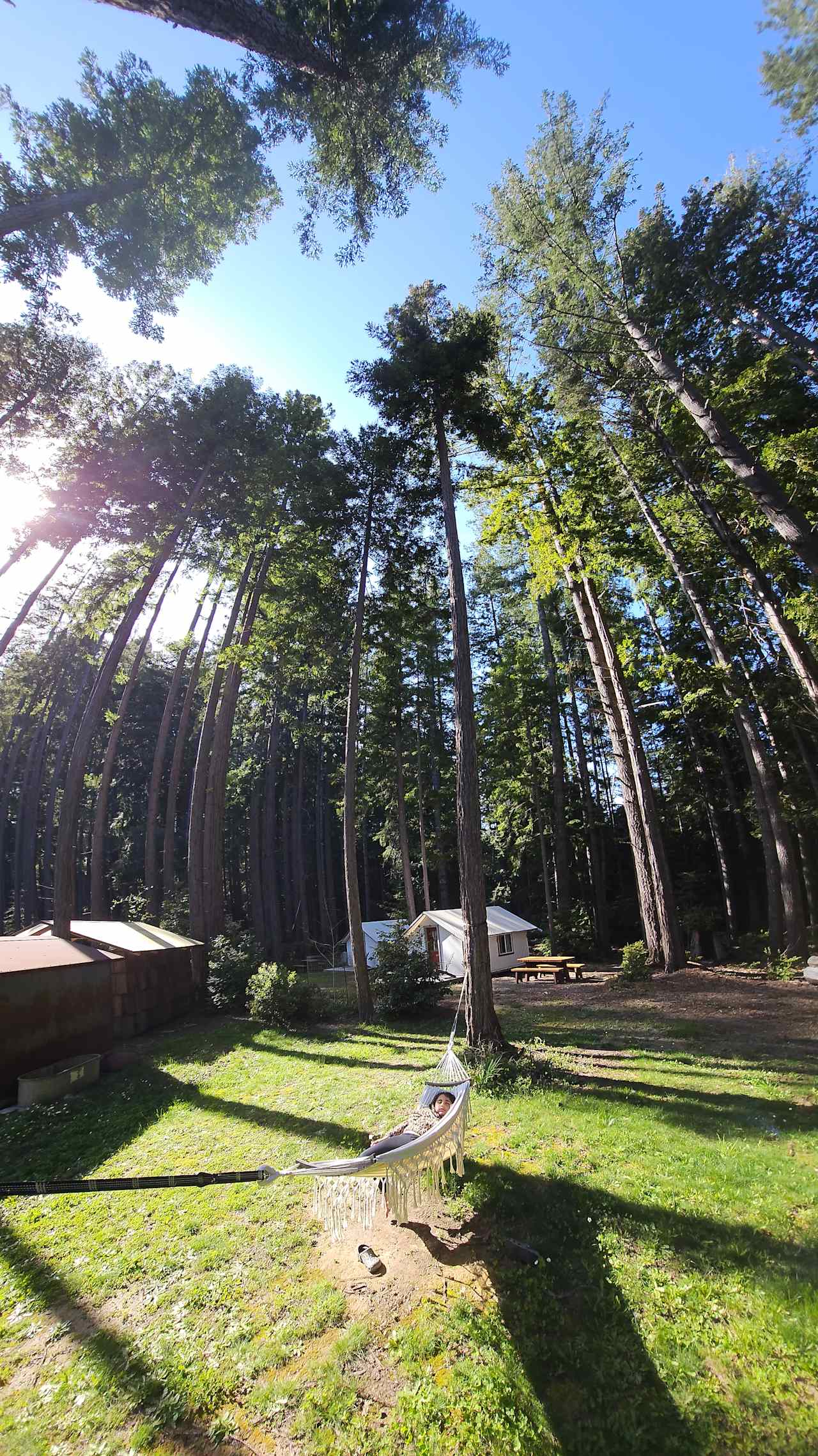 Heartwood Mendocino