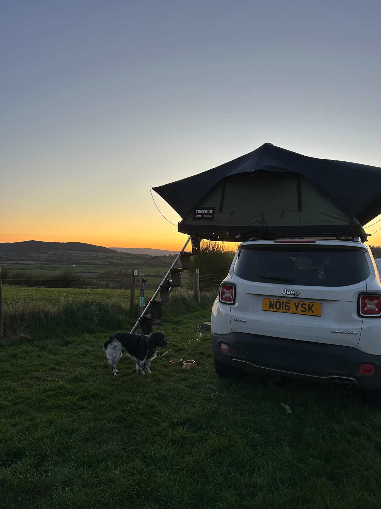 Spring Field Dark Skies Eco Camp