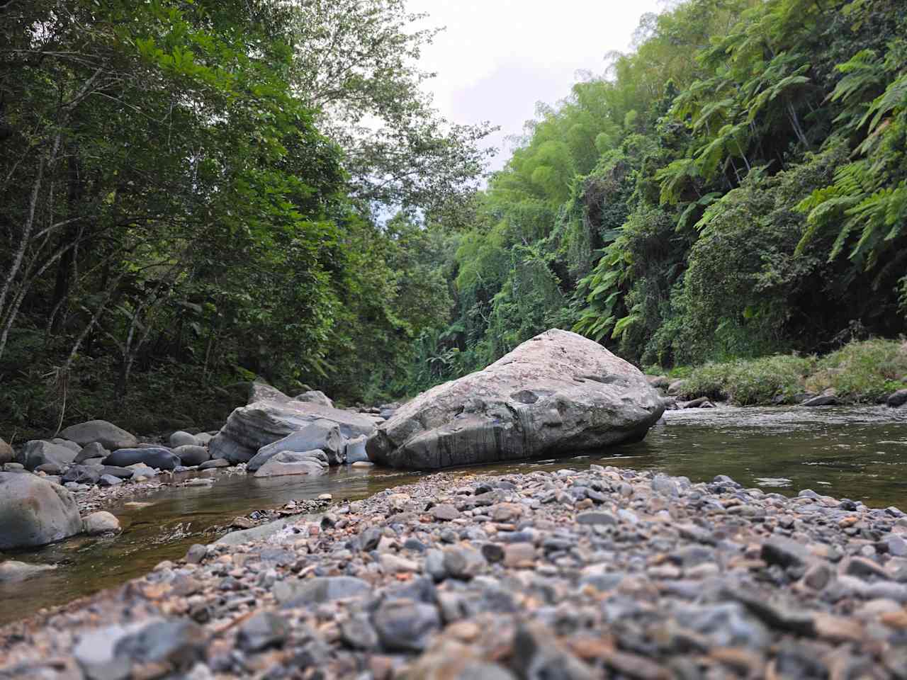 Finca Sajorí