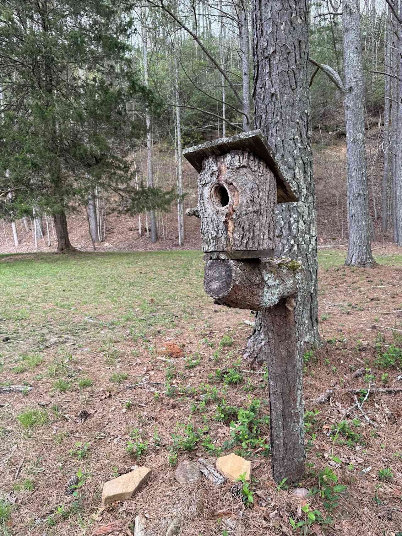 Camp Chet