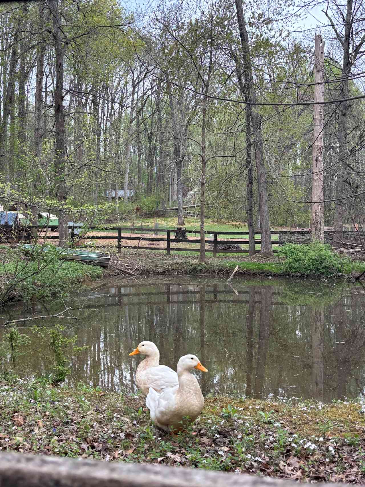 Lovers Lane Farm Stay
