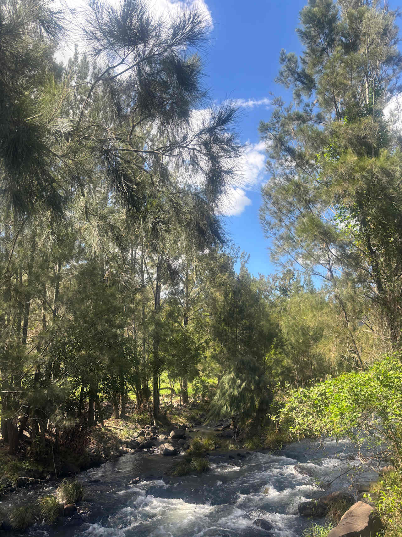Christmas Creek Bush Retreat