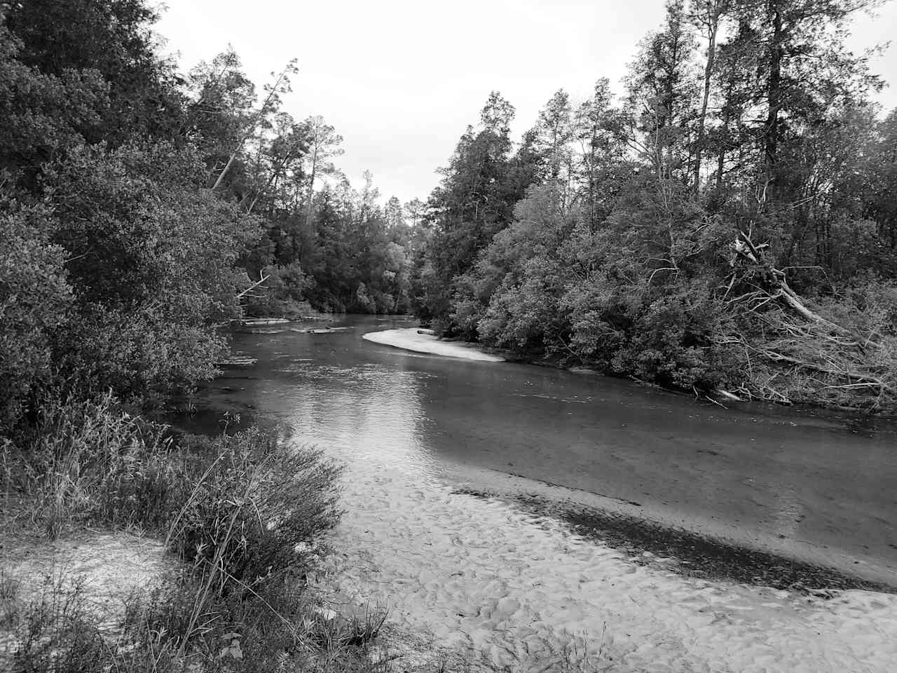 The Wandering Path
