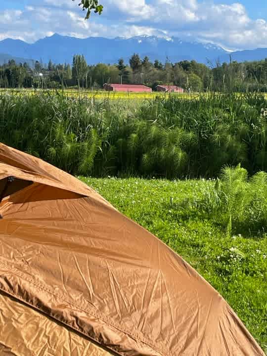 Seek-No-Further single Tent Site