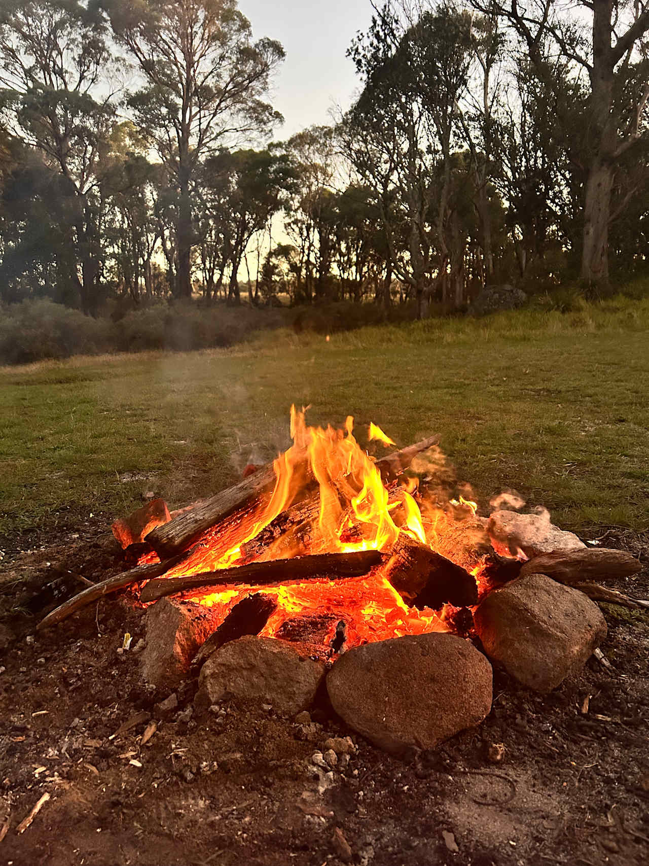 Jindalee