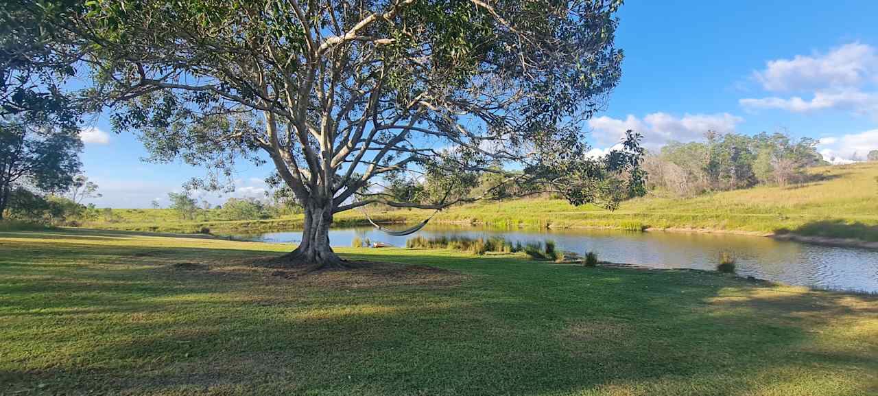 Fig Tree Camp