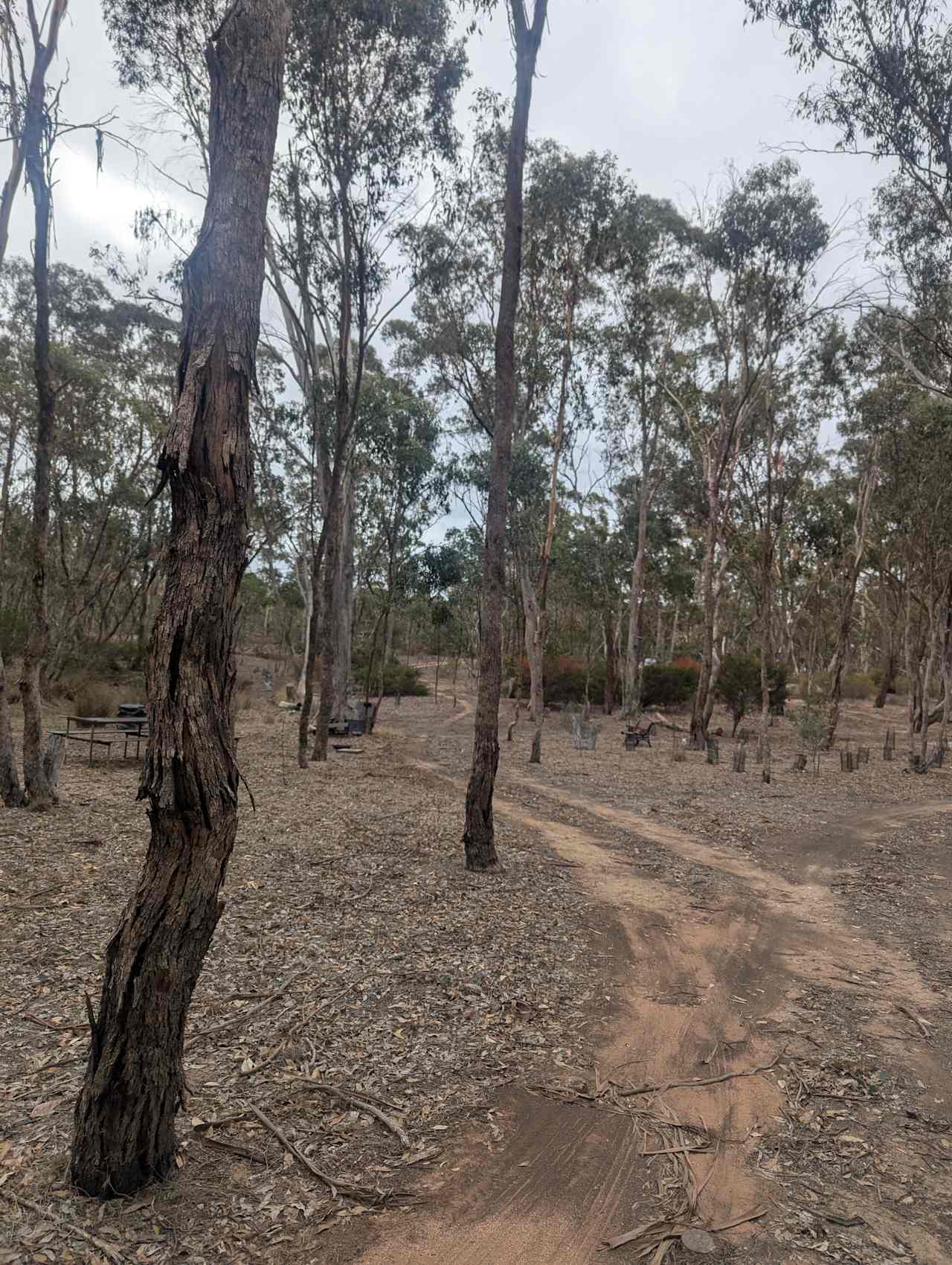 Newstead Nook