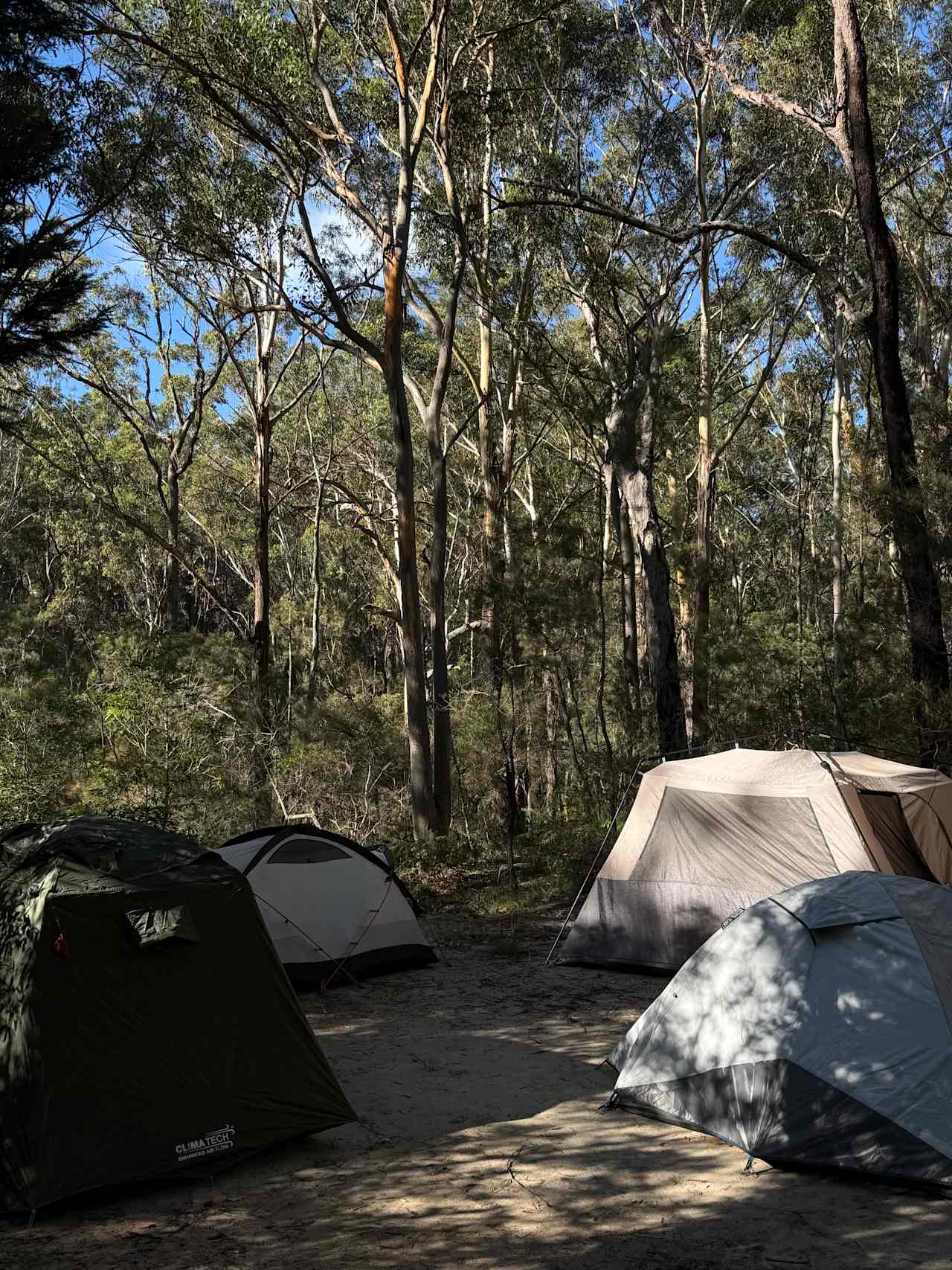 Dharawal Camp