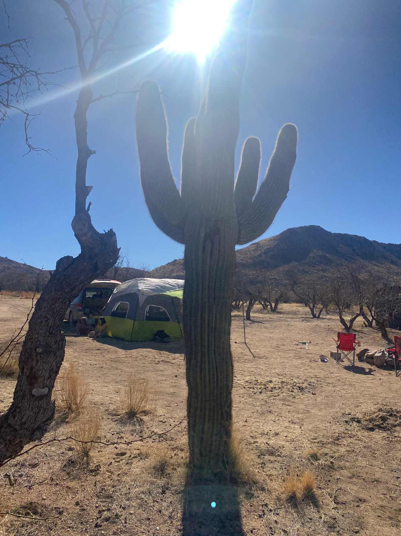 Epic Private 300 Acre Saguaro Park