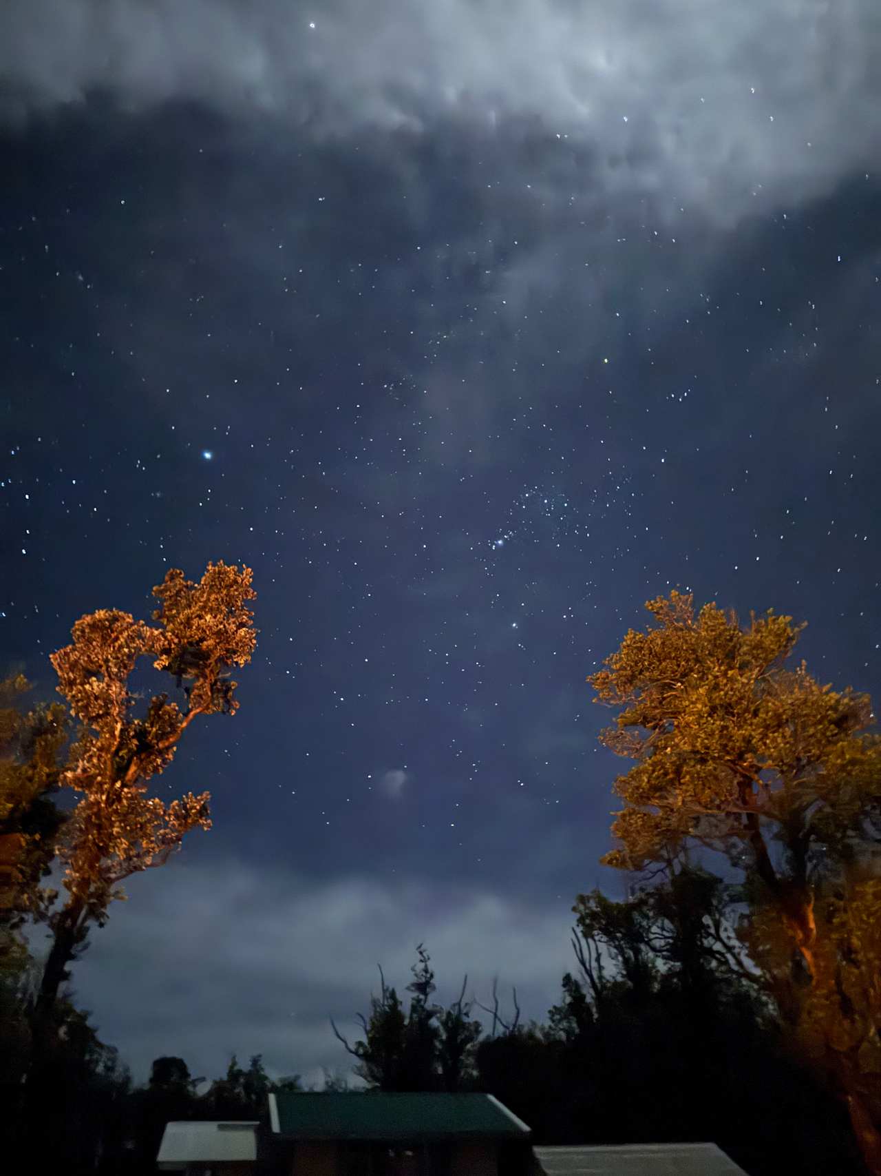 The Orchestra sounds at night are also beautiful 