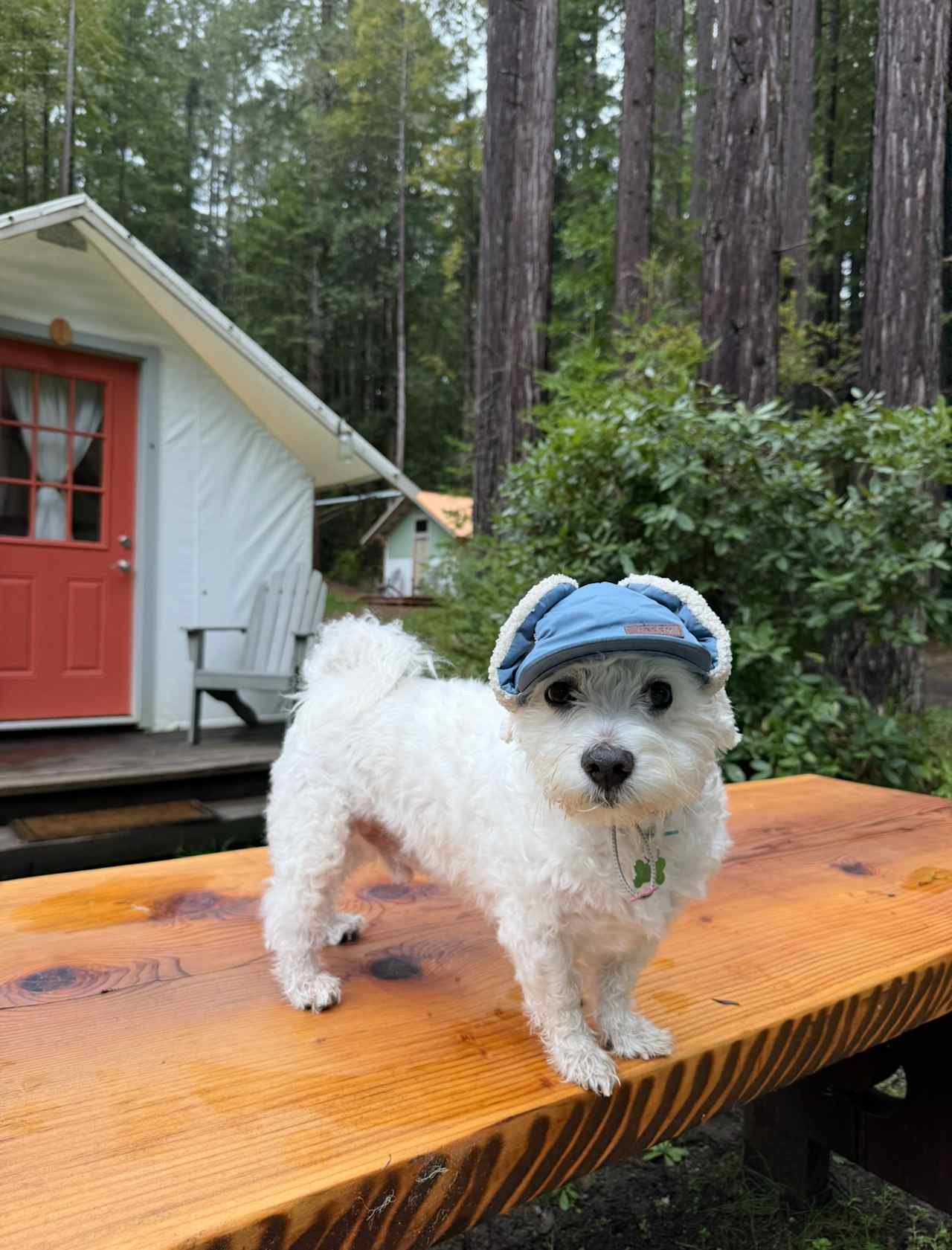 Heartwood Mendocino