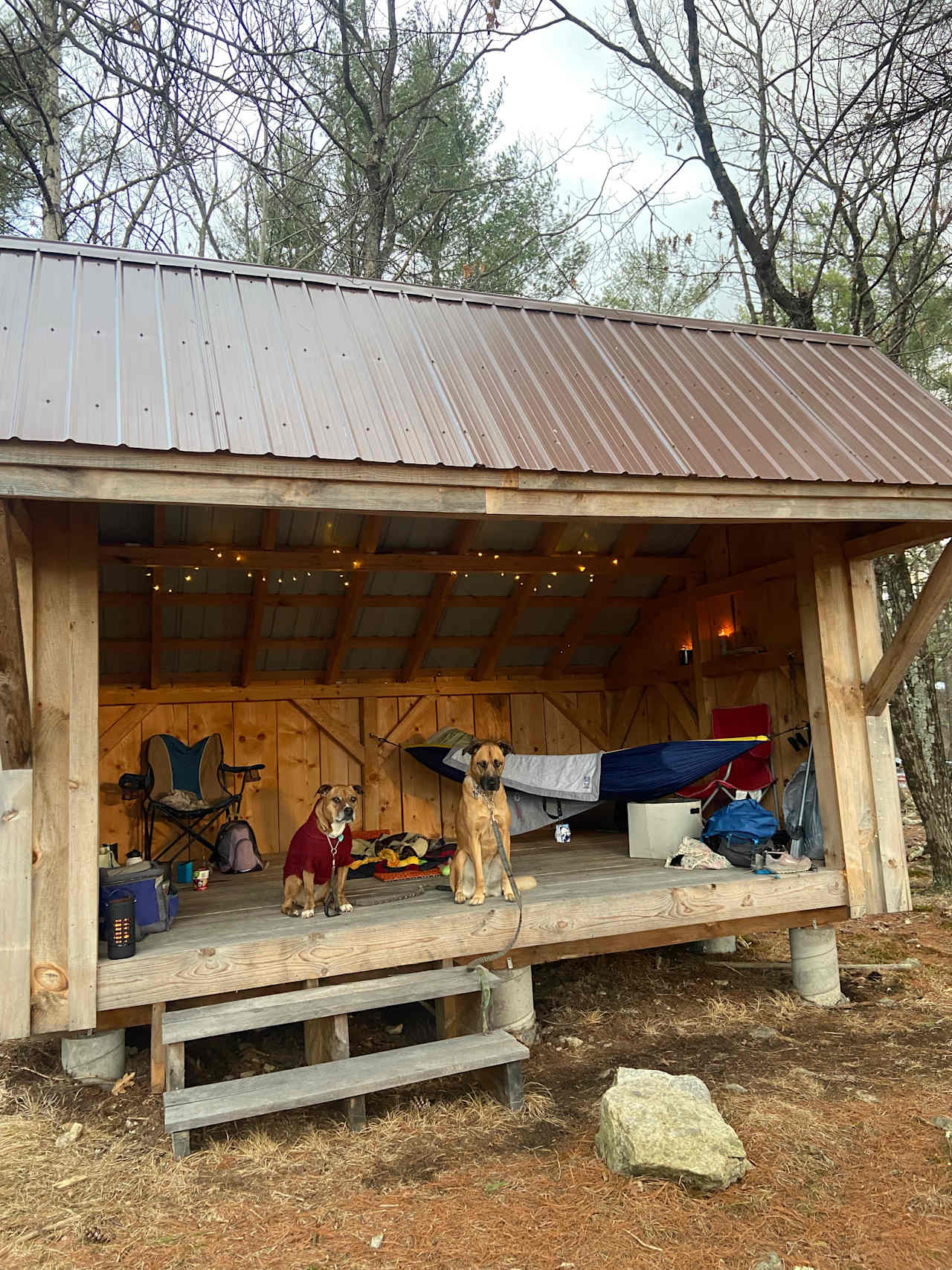 Camp Way Wild