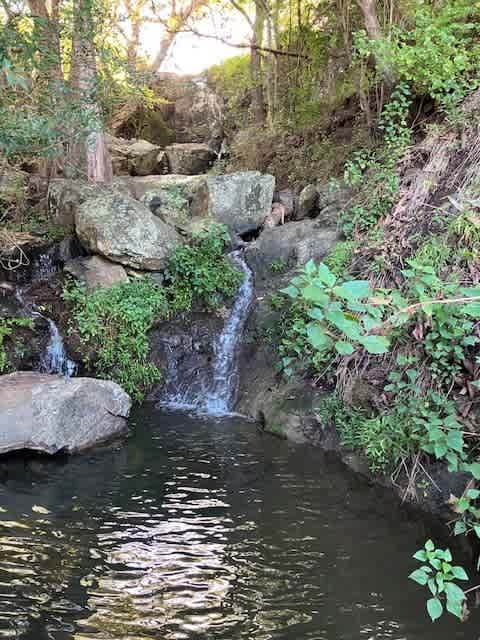 Waterfall walk