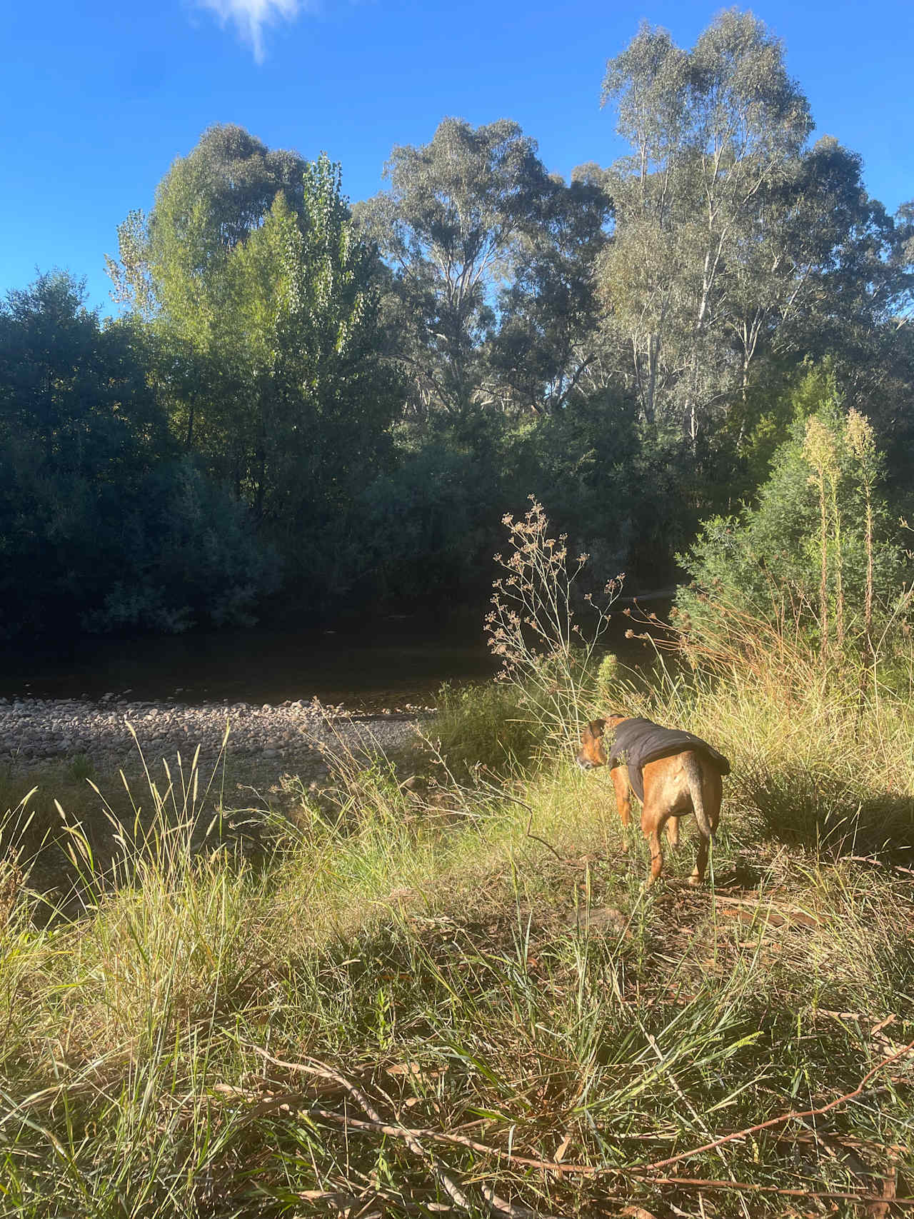 Riverside King Valley