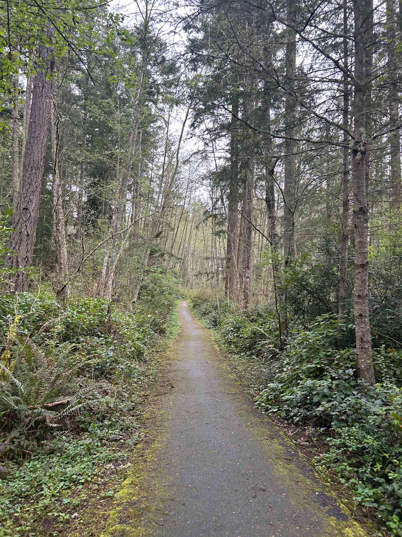 Hike near by. Beautiful island. 