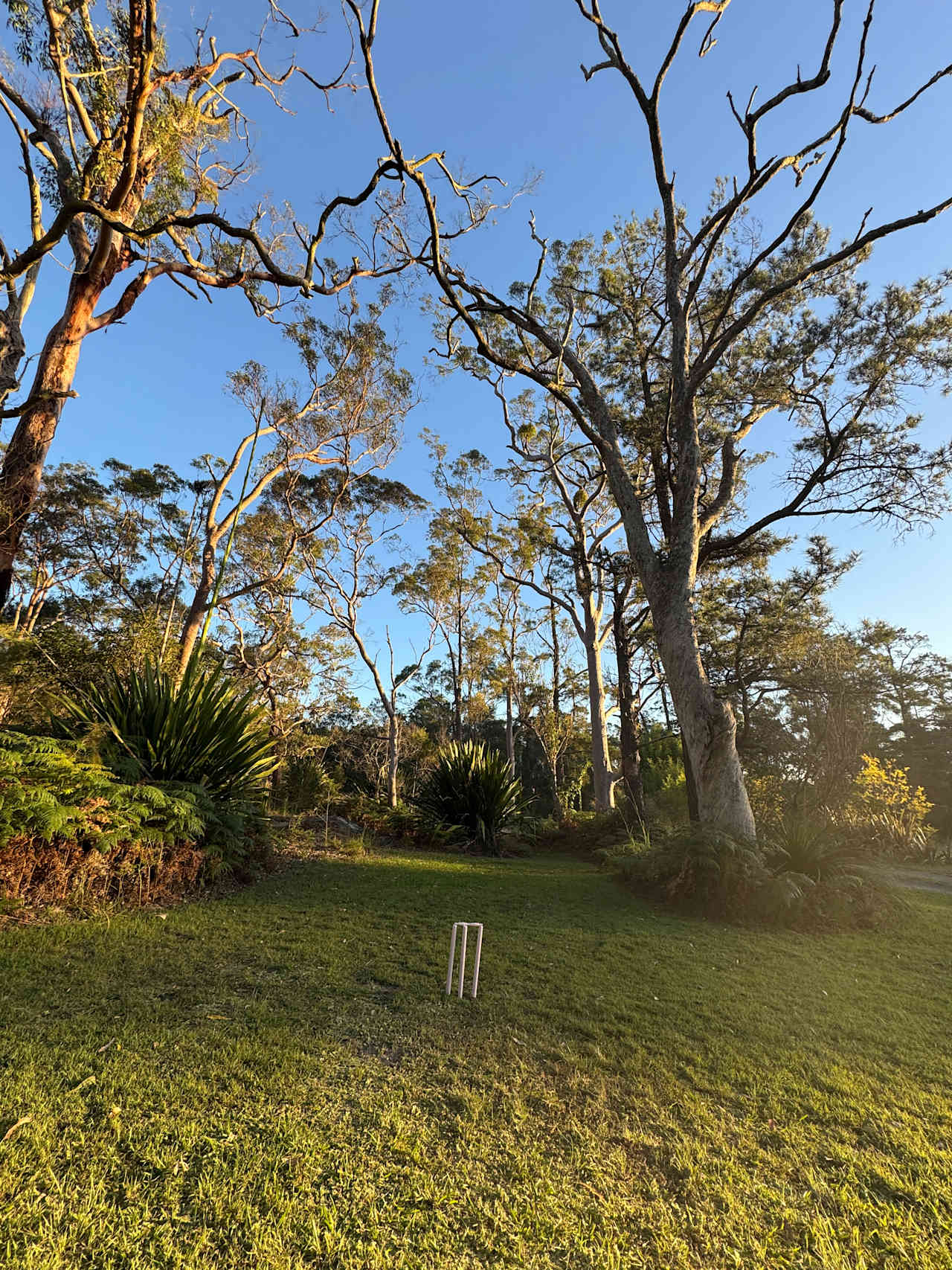 Willa Willa Park