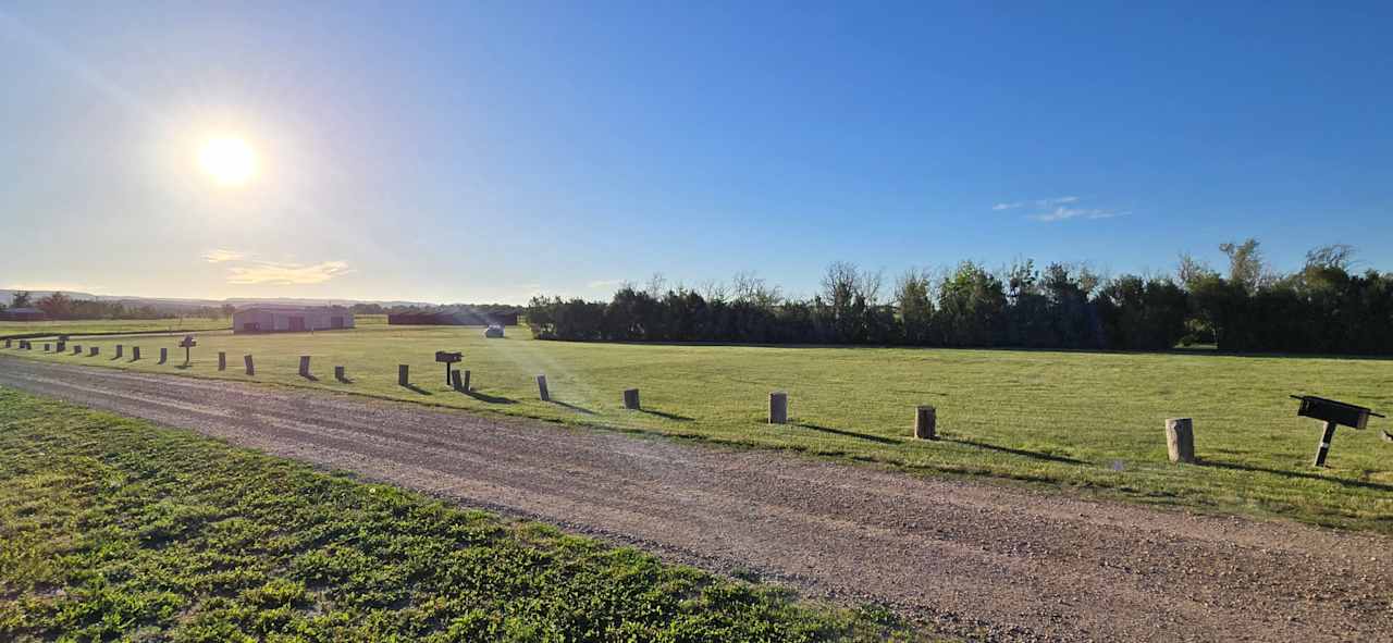 Black Hills Meadow