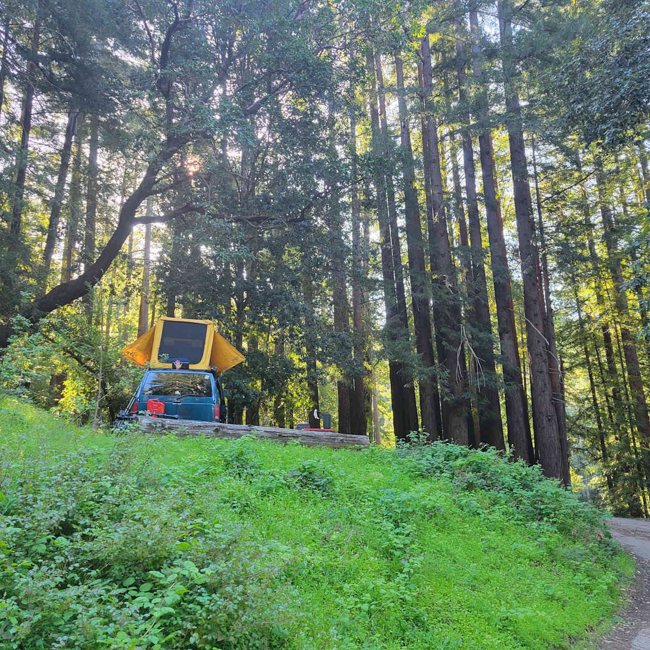 Amaya Creek Redwood Campground