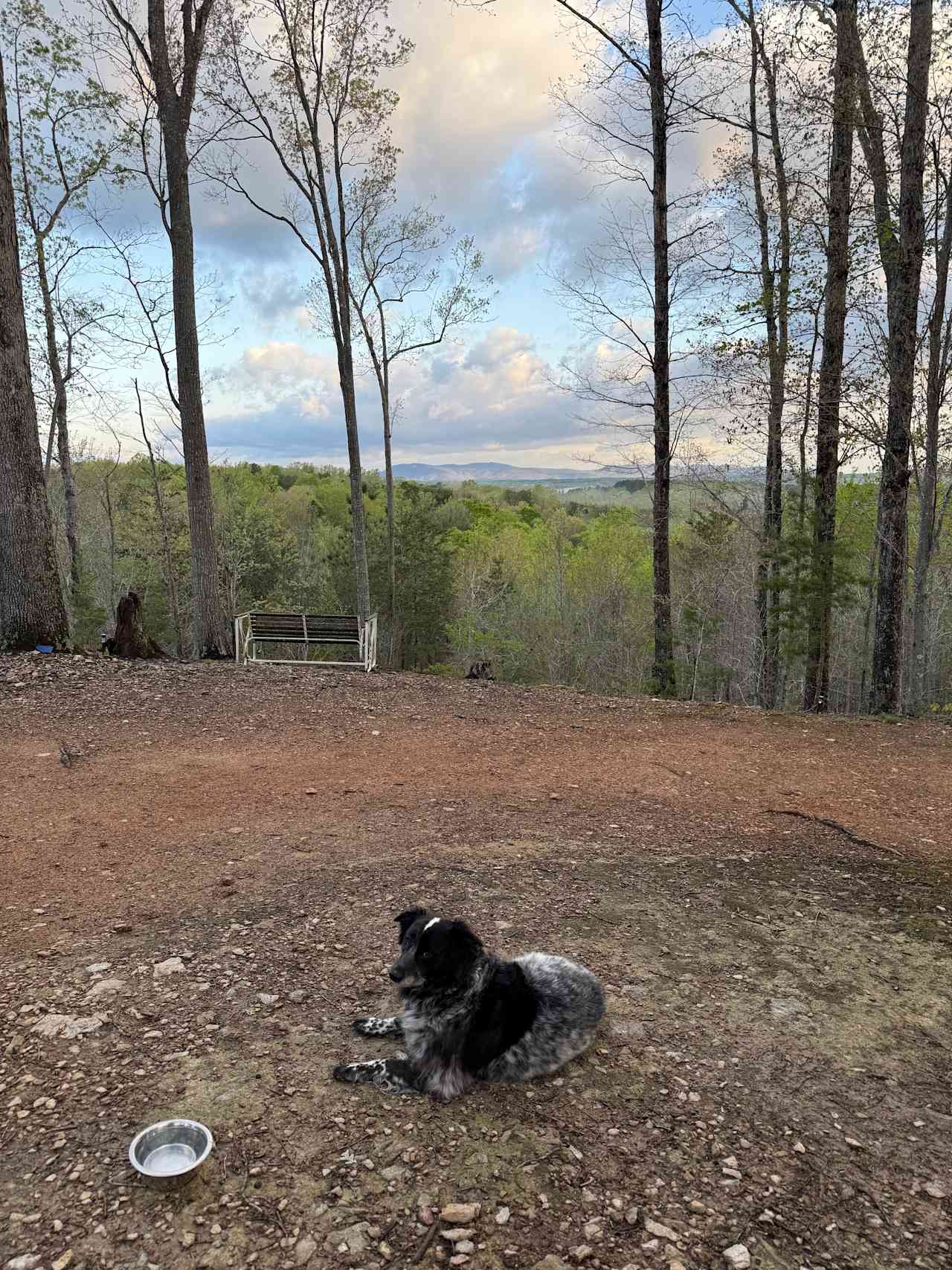 The Rocky Knoll