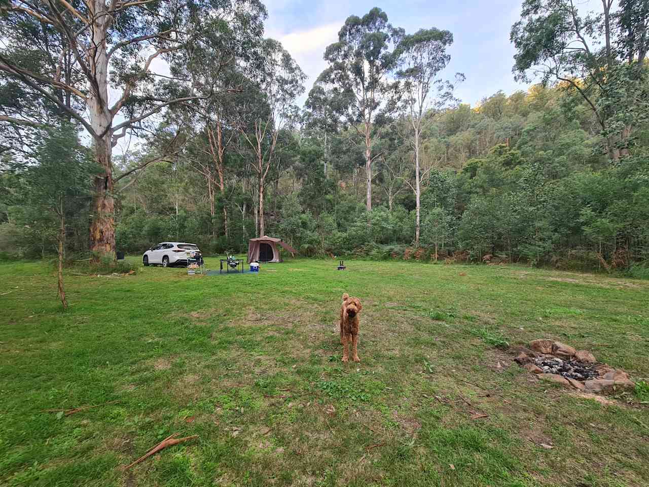 Wollombi Private Earthways camp