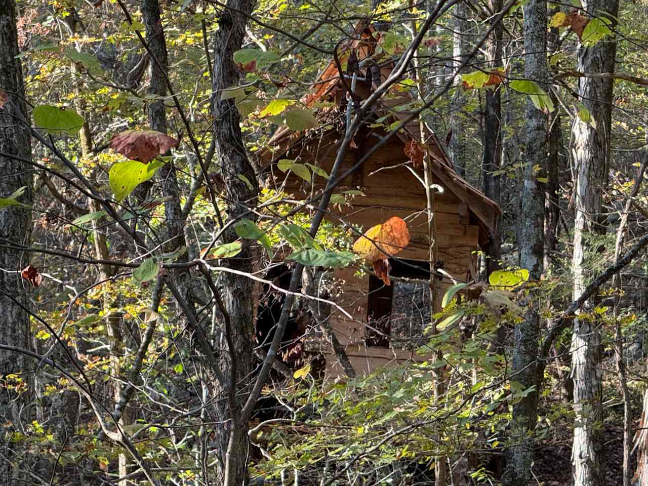 CrowMocker Cabins And Camping
