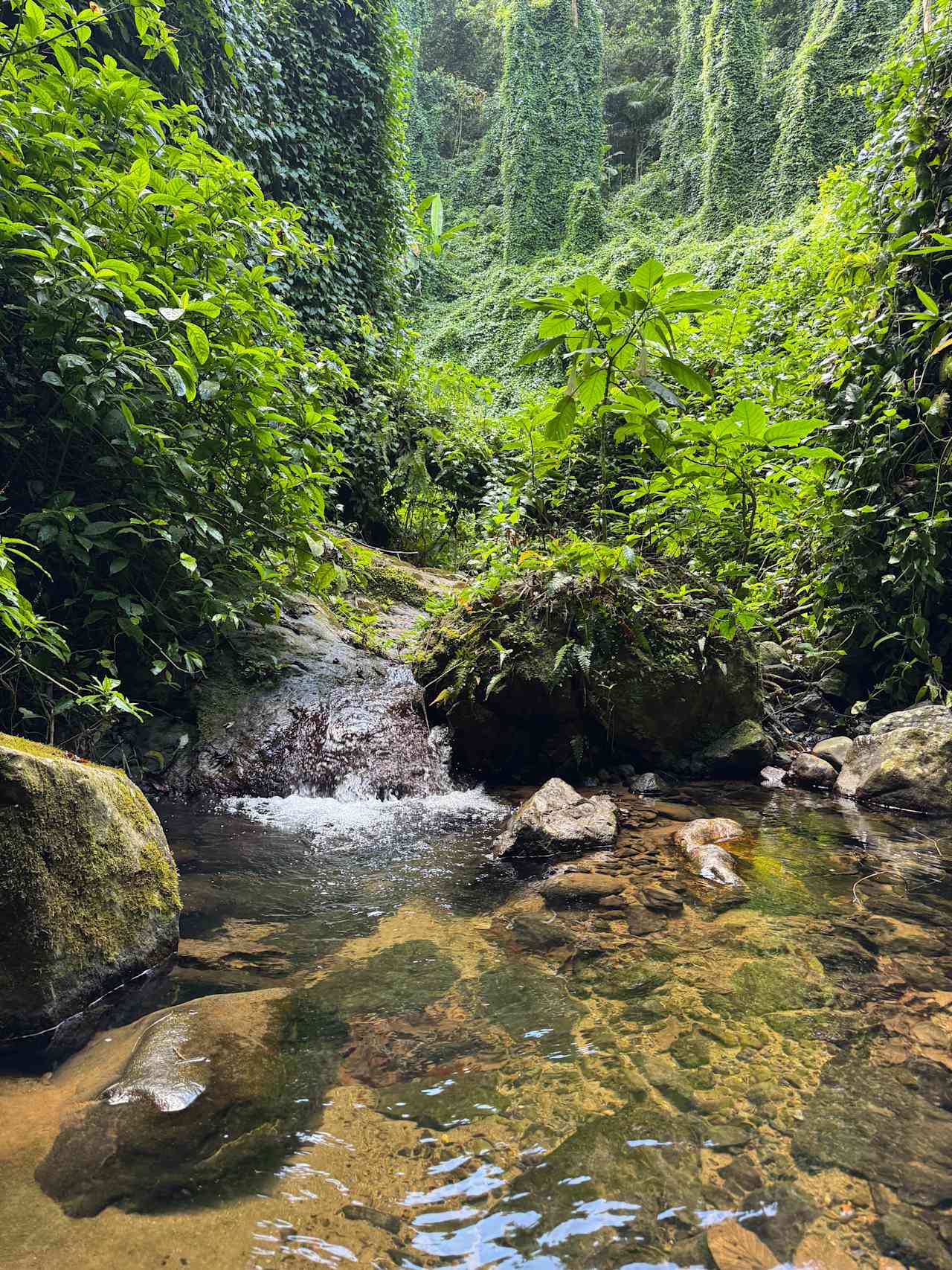 At the end of the jungle walk 😍