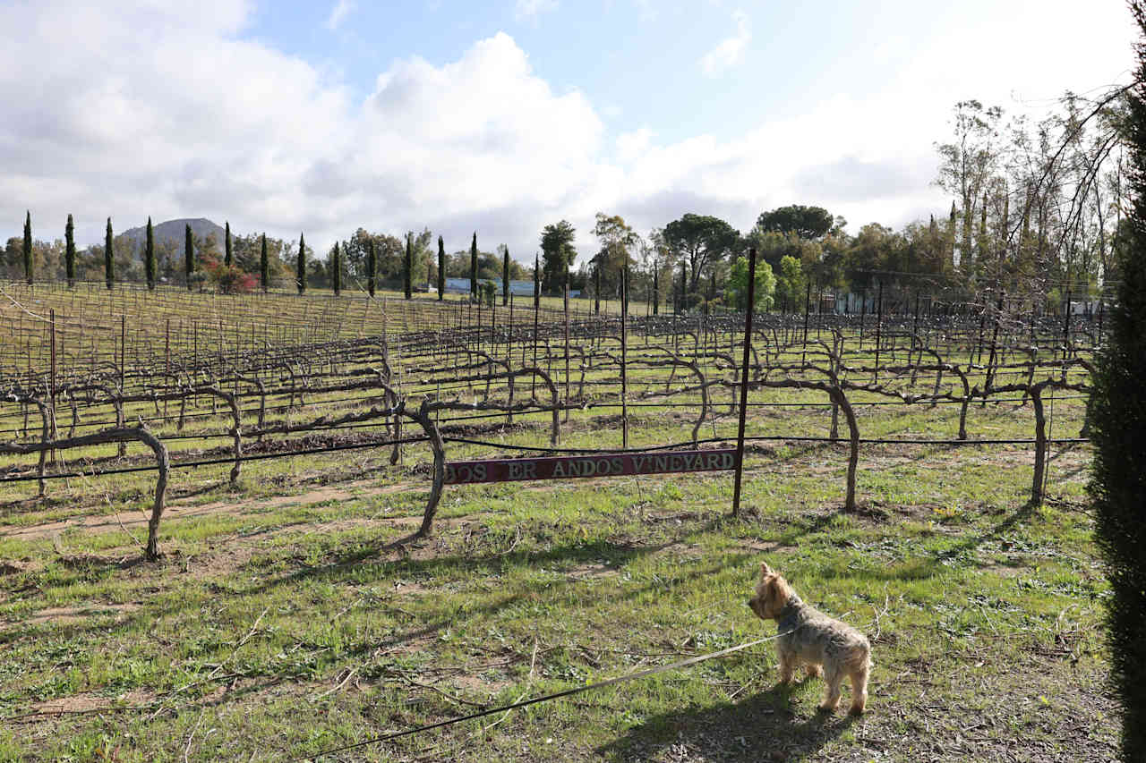 Dos Fernandos' Hideaway RV vineyard