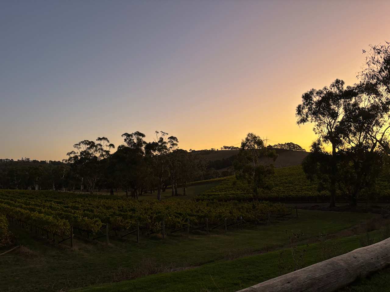 Yarra Valley Vineyard Views