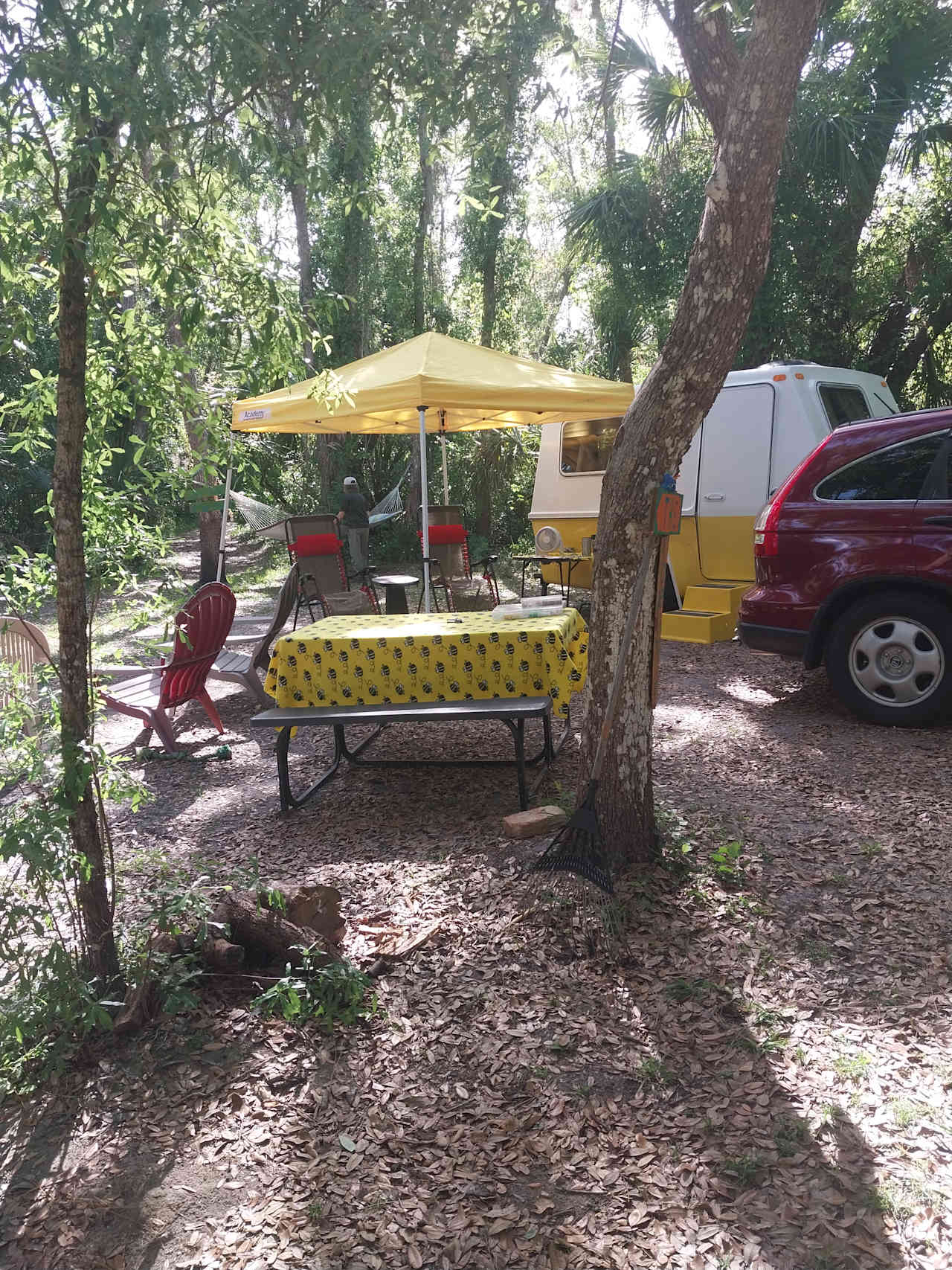 Very private and roomy campsite
