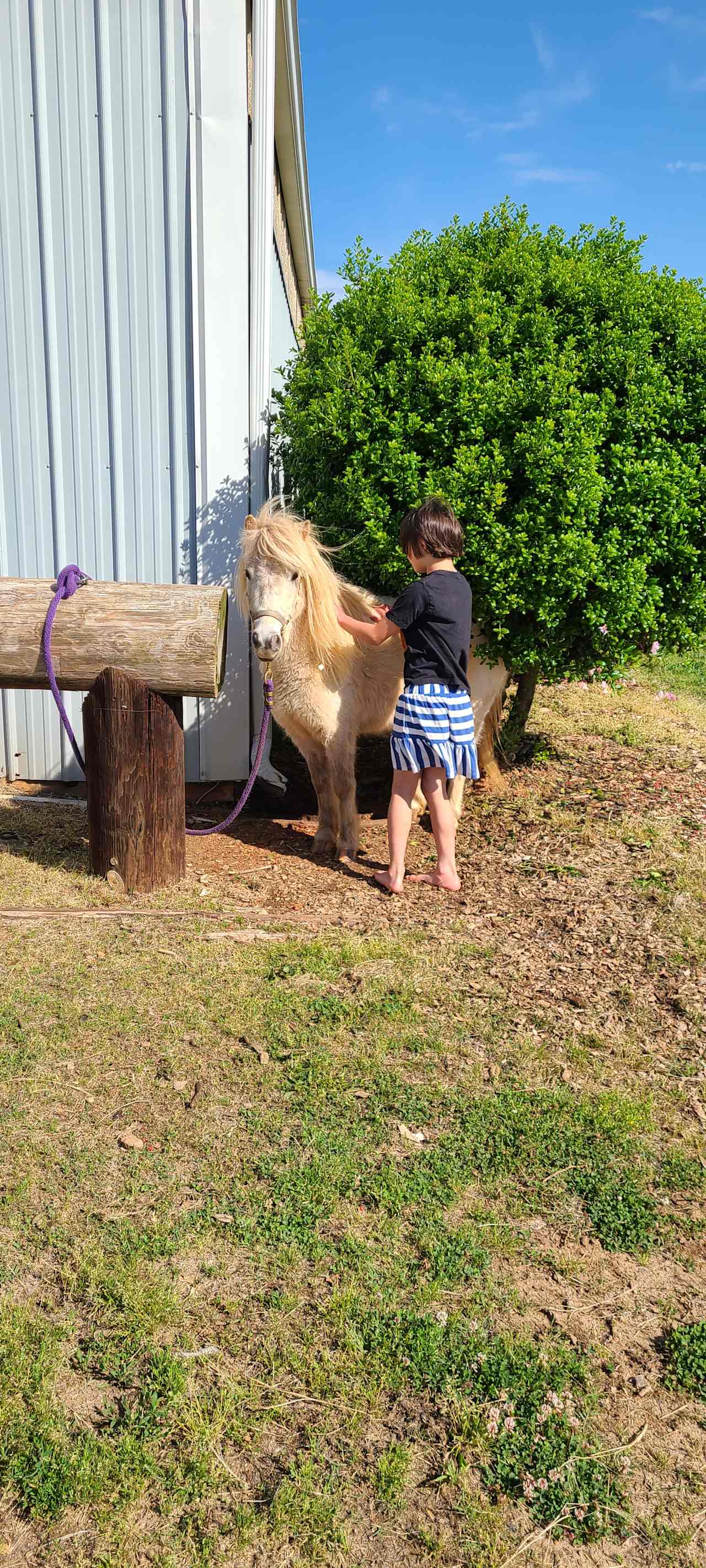 Liberty Stables Private Escape