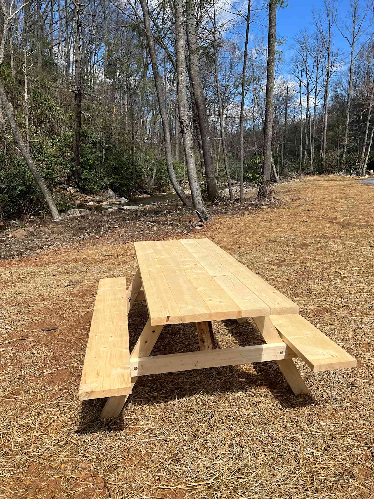 Camp Cressy Creek