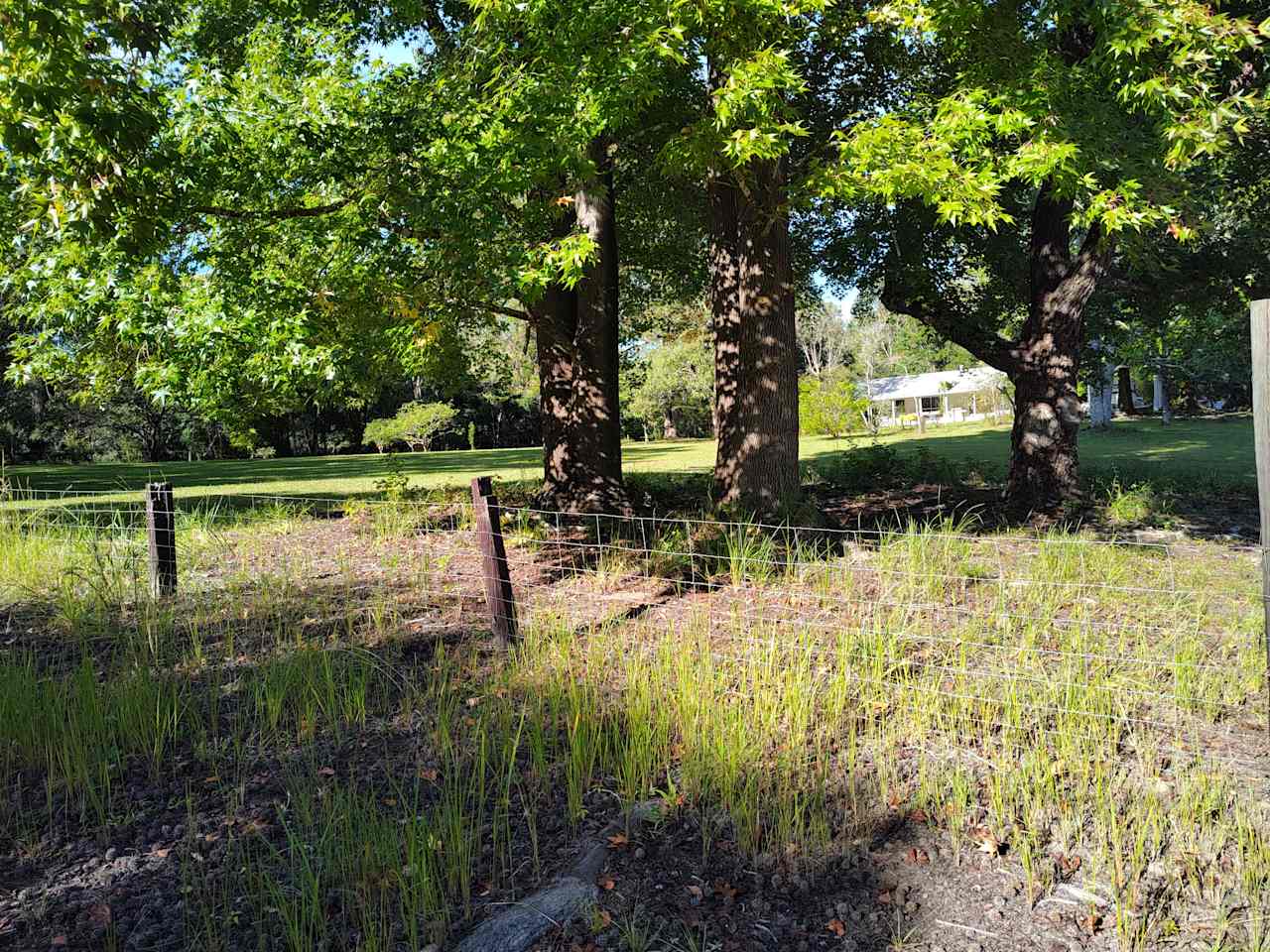 Little Pine Creek Farm