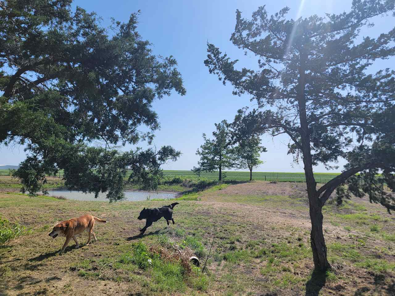 Circle 6 Ranch