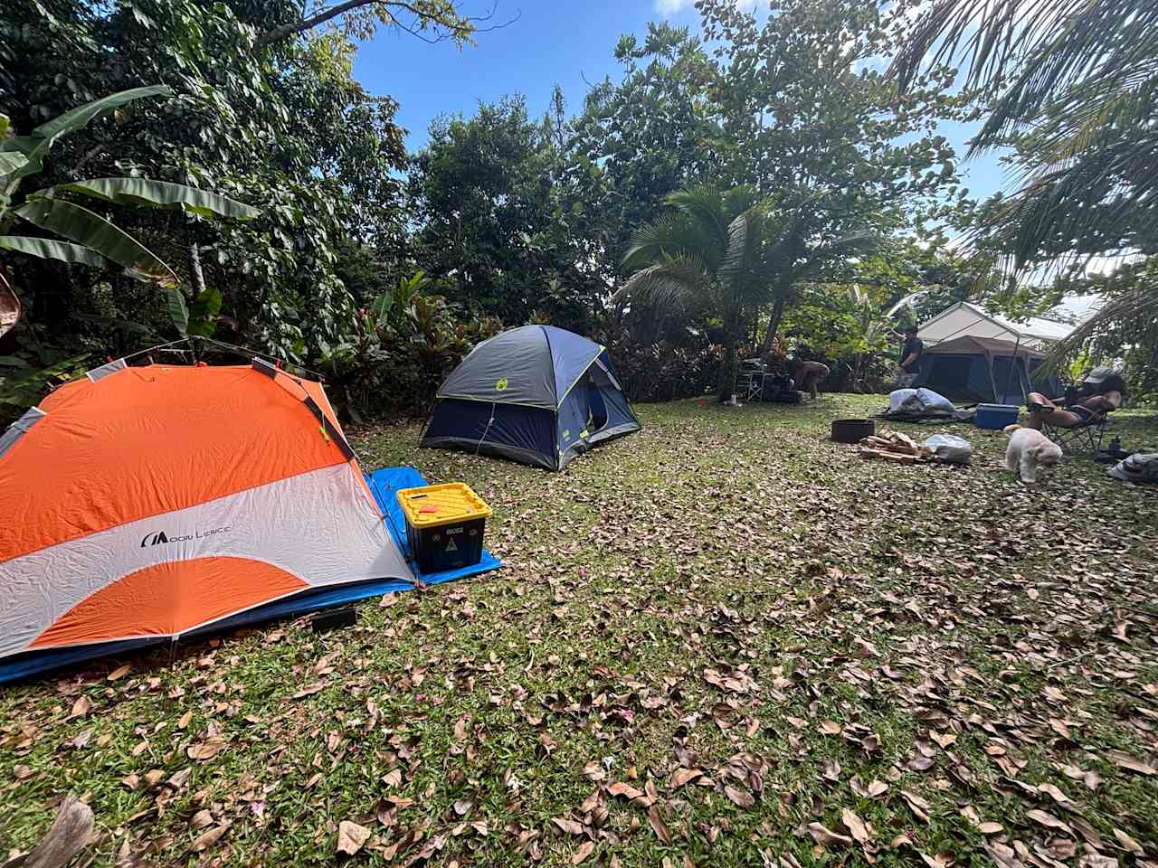 Rainforest Campground & Glamping