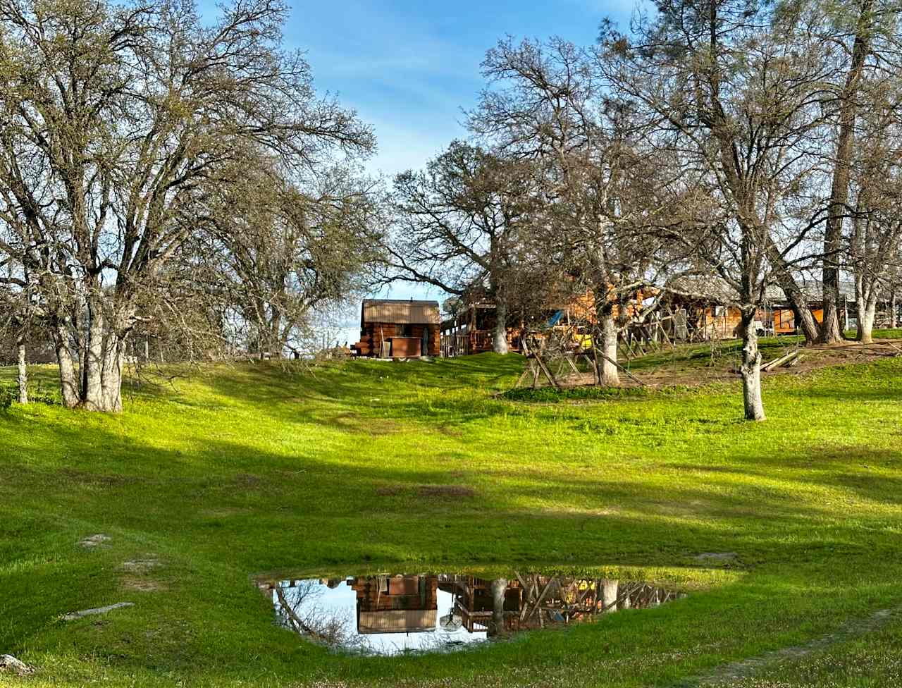 Willow Belle Ranch