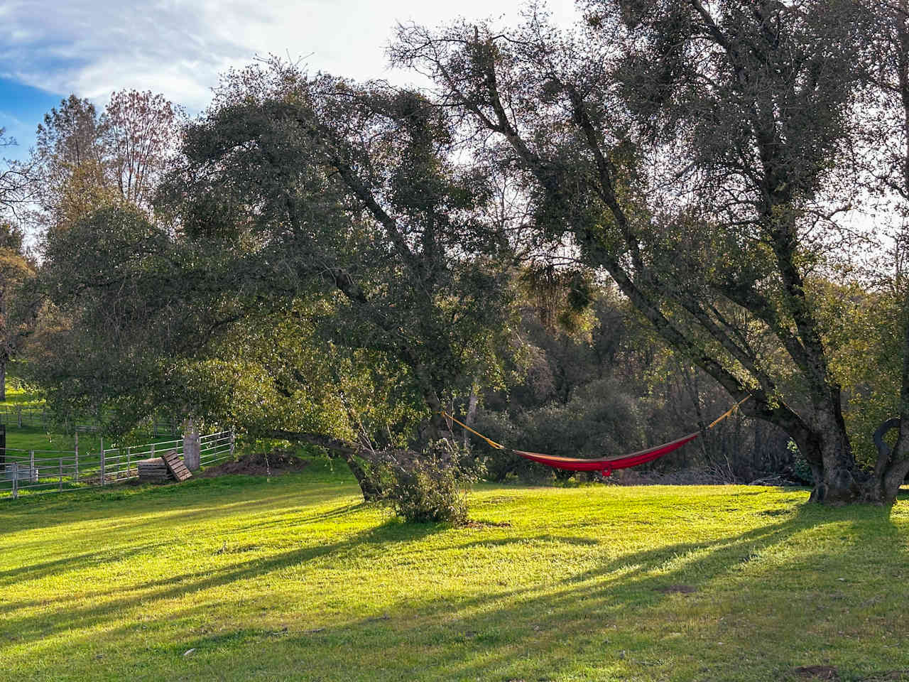 Willow Belle Ranch