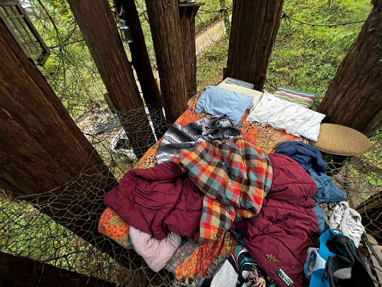 Sleep Up High In A Redwood Tree-net