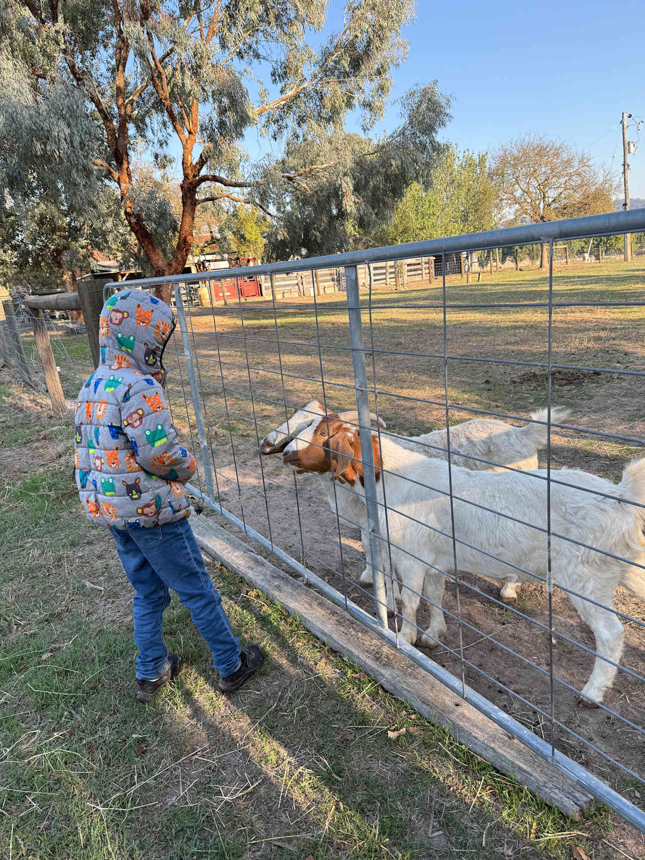 Nillawarre Farm Stay