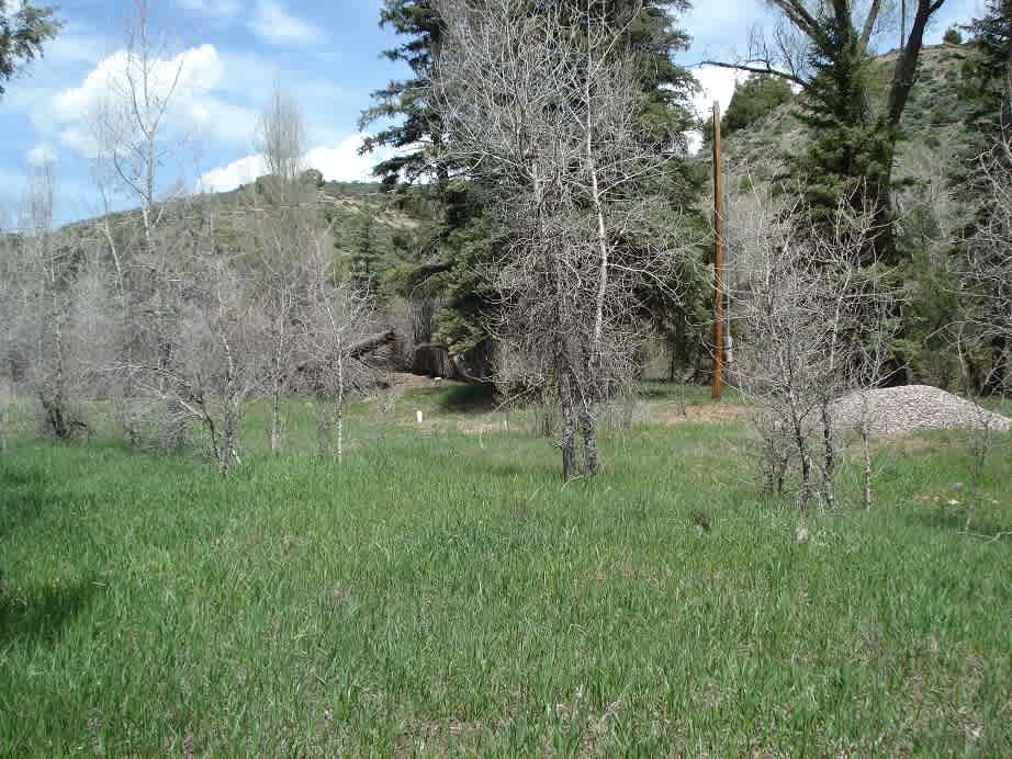 Muddy Creek At McClure Pass